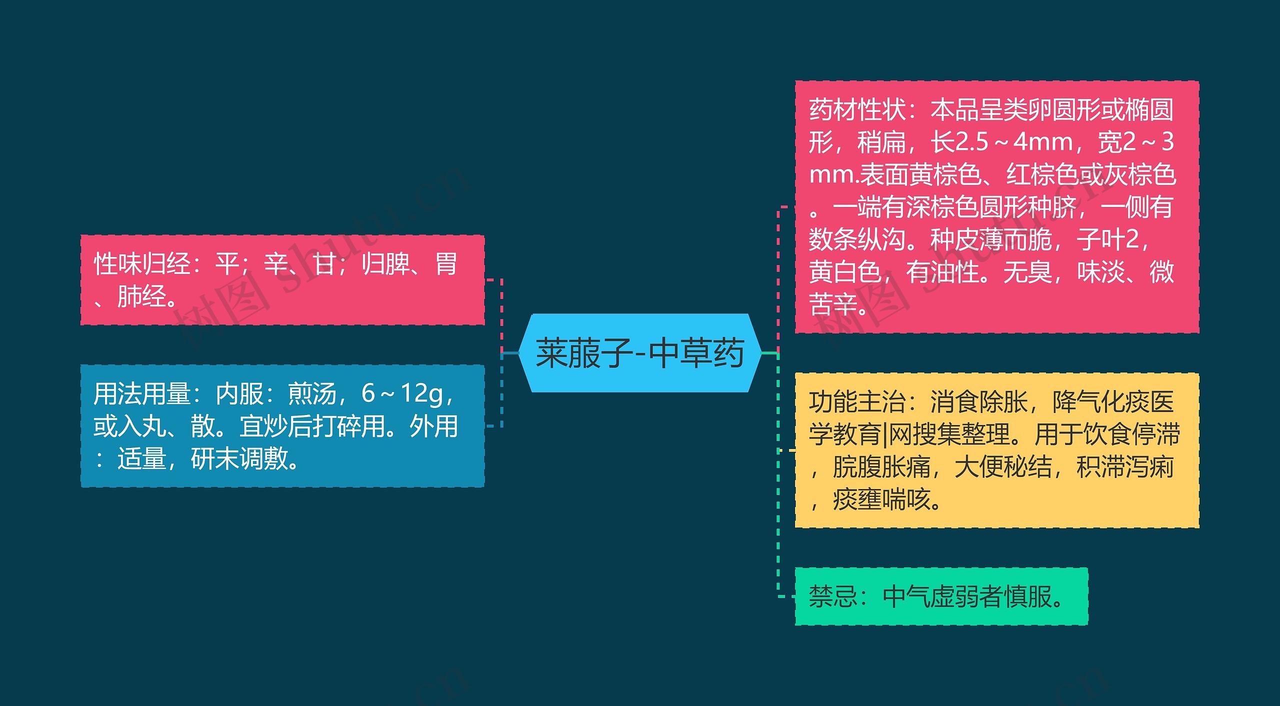 莱菔子-中草药 莱菔子-中草药