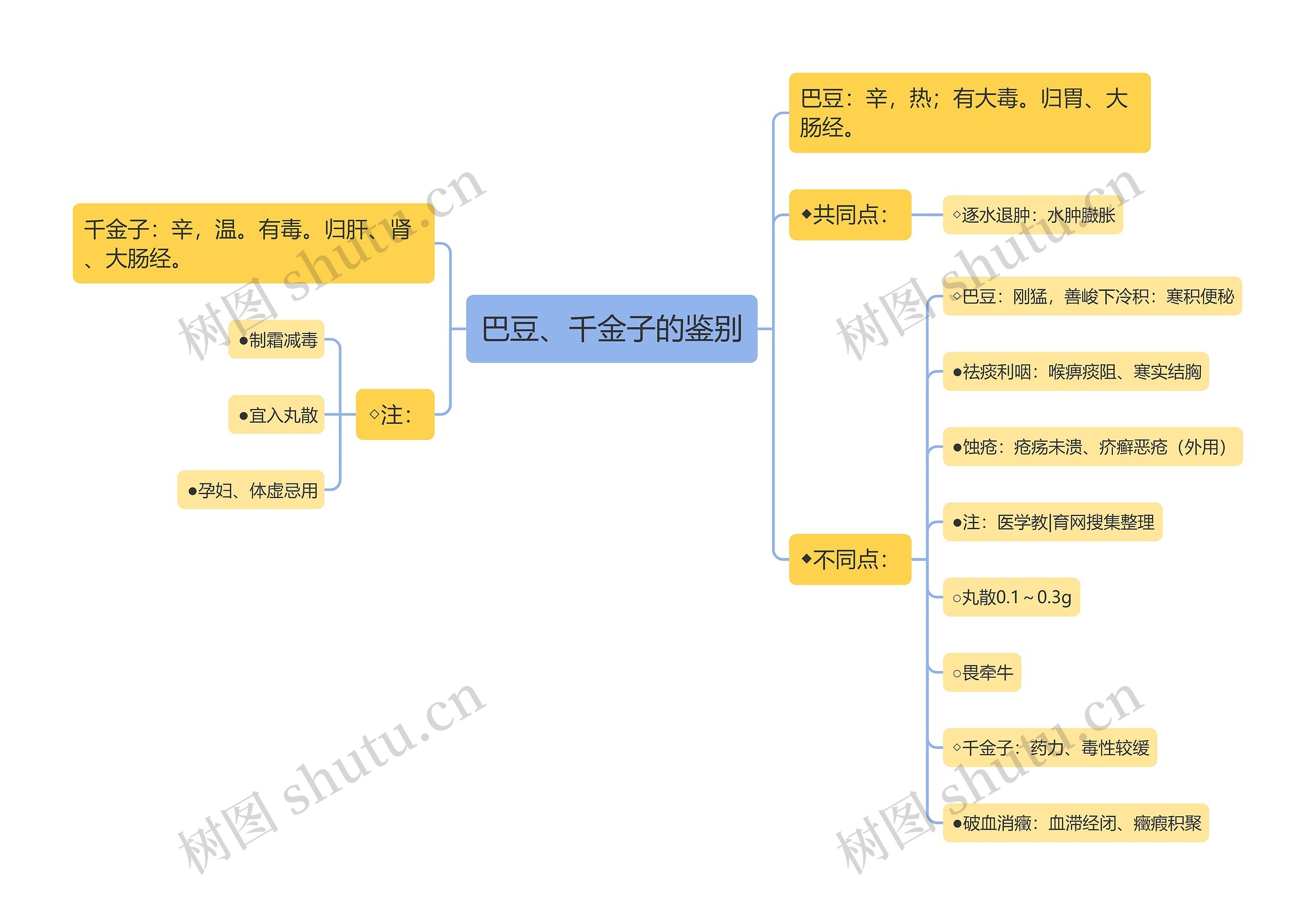 巴豆、千金子的鉴别思维导图