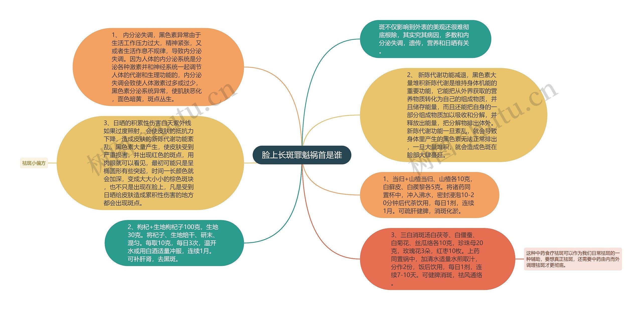 脸上长斑罪魁祸首是谁思维导图