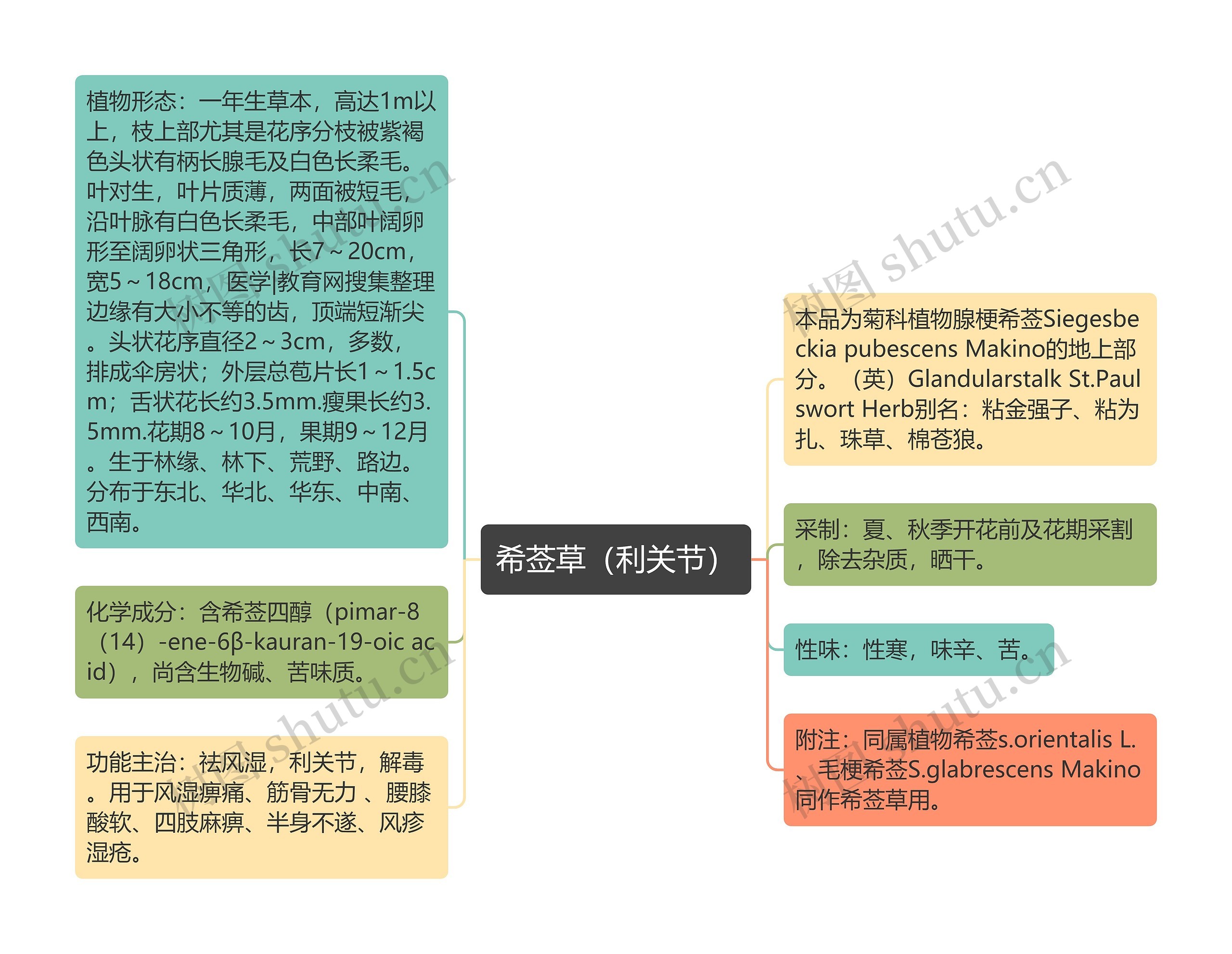 希莶草(利关节) 希莶草(利关节)