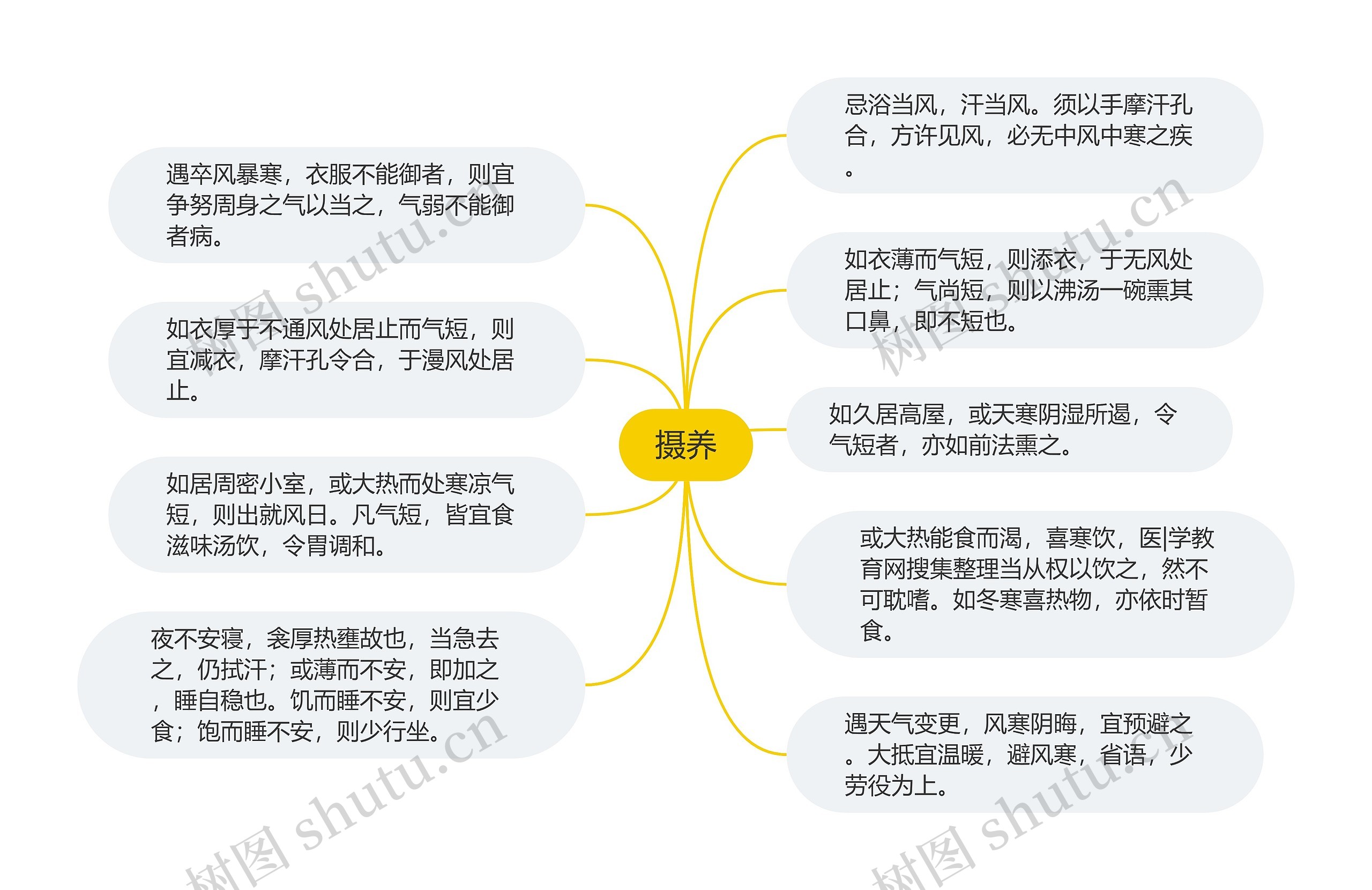 摄养思维导图