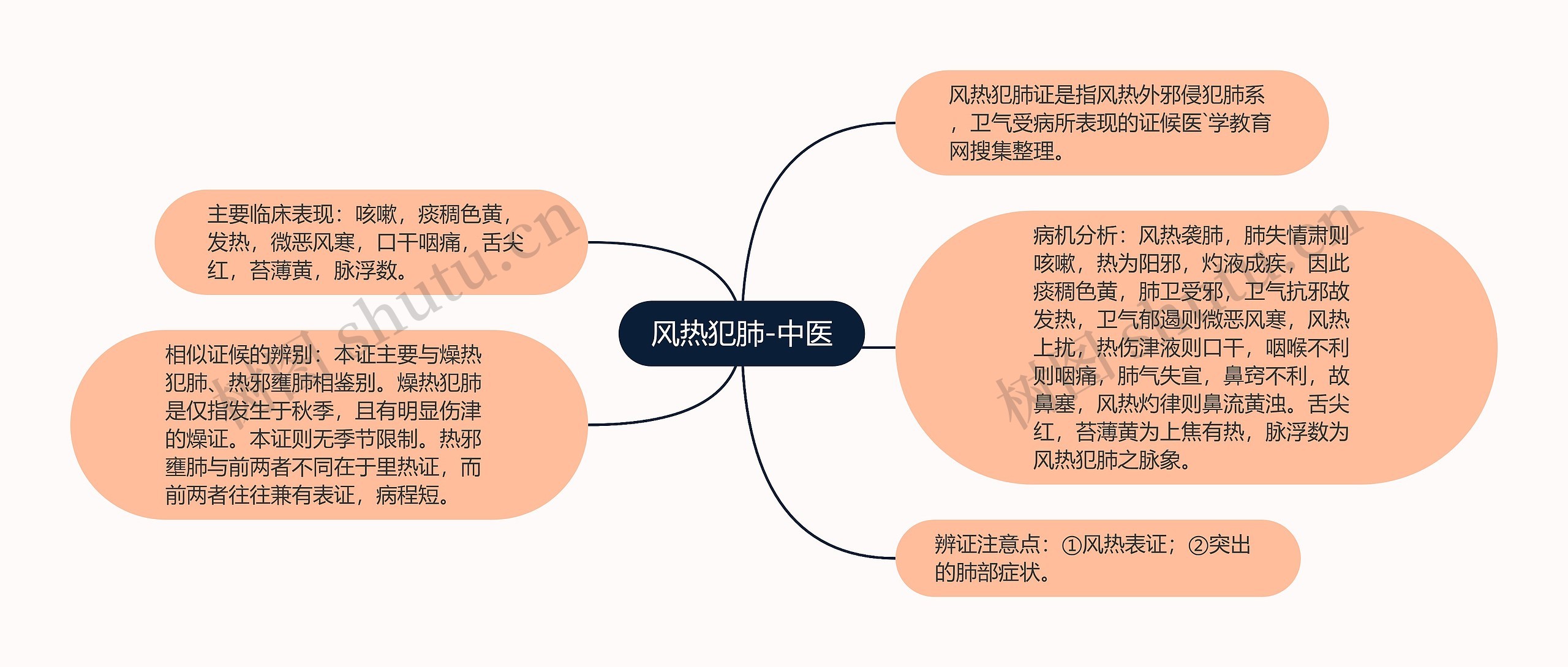 风热犯肺-中医思维导图