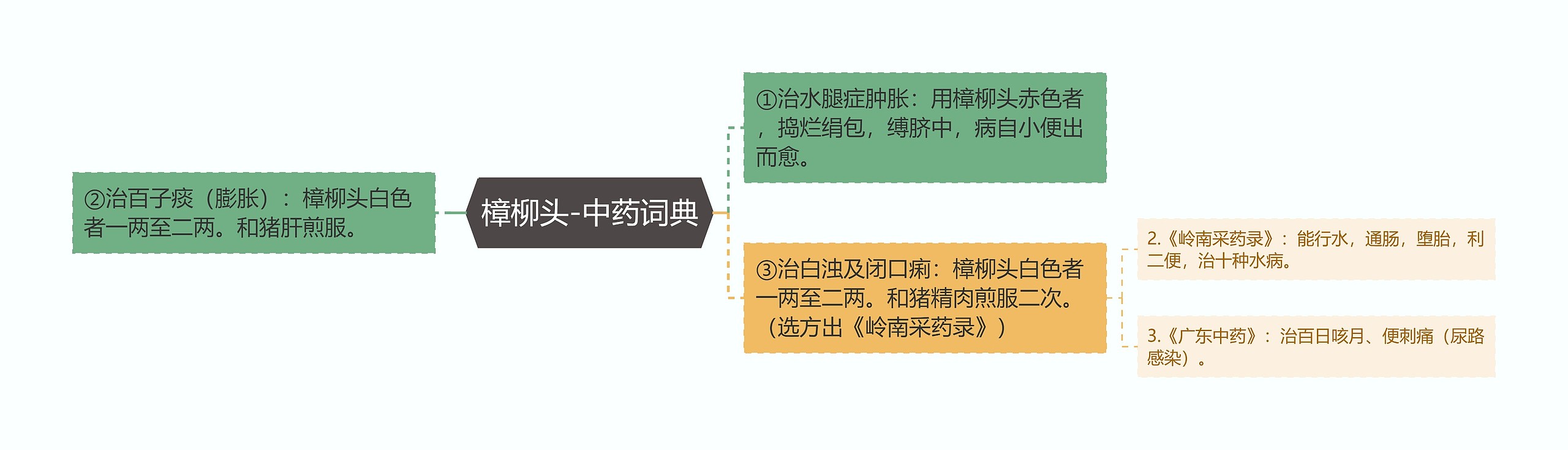 樟柳头-中药词典思维导图