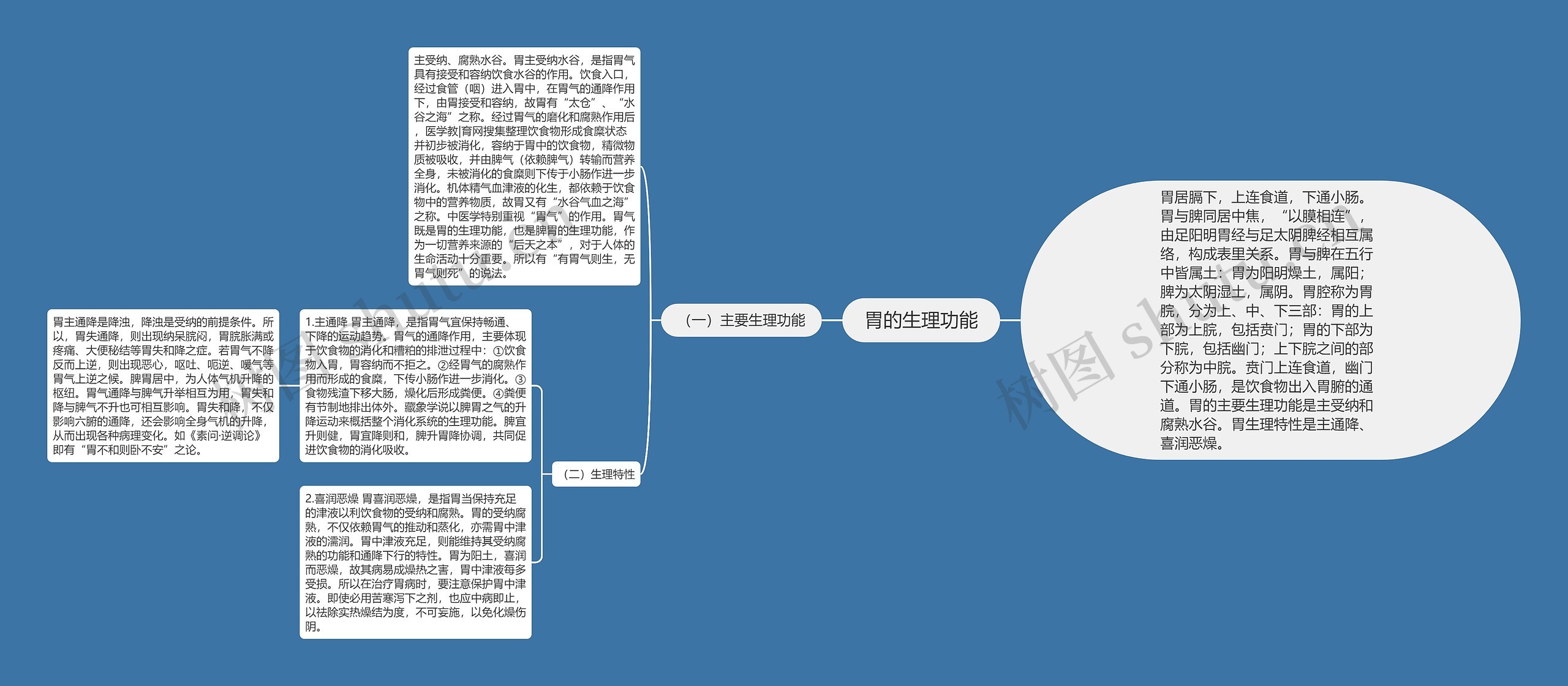 胃的生理功能 胃的生理功能