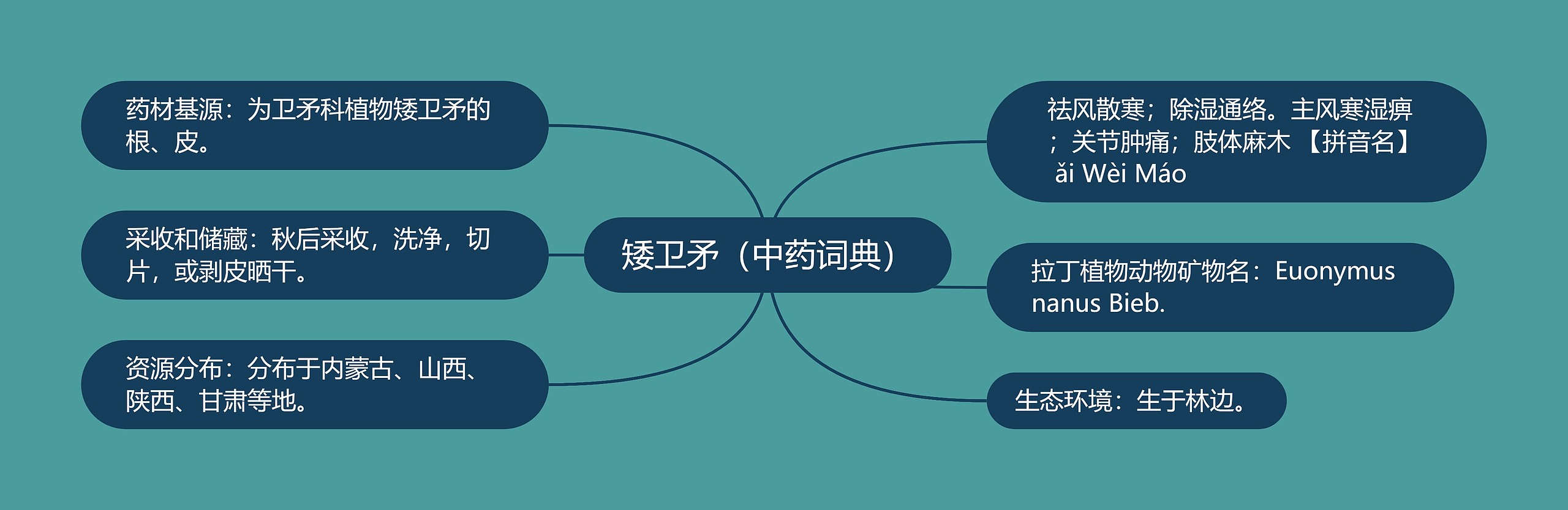 矮卫矛（中药词典）