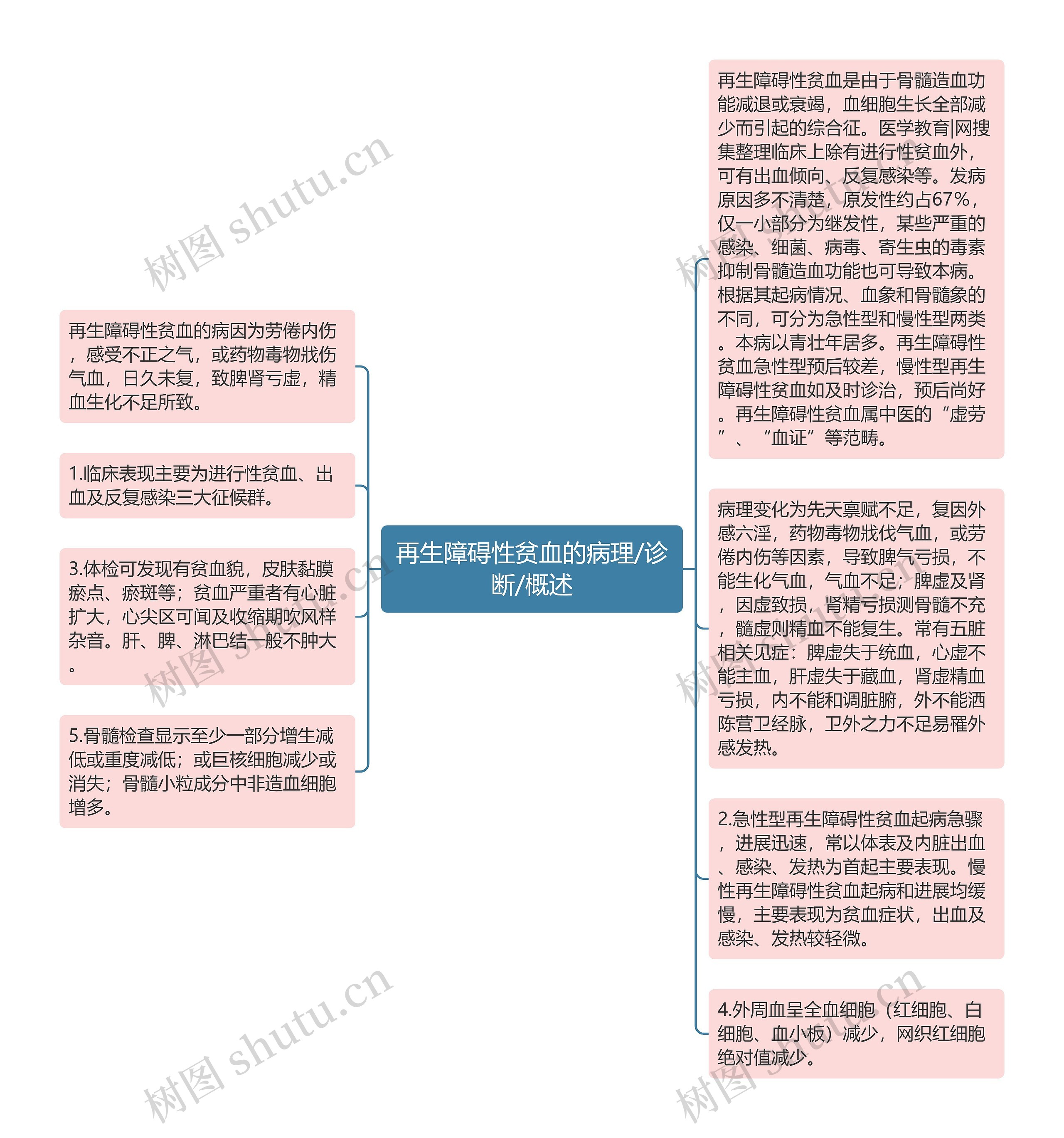 再生障碍性贫血的病理/诊断/概述思维导图