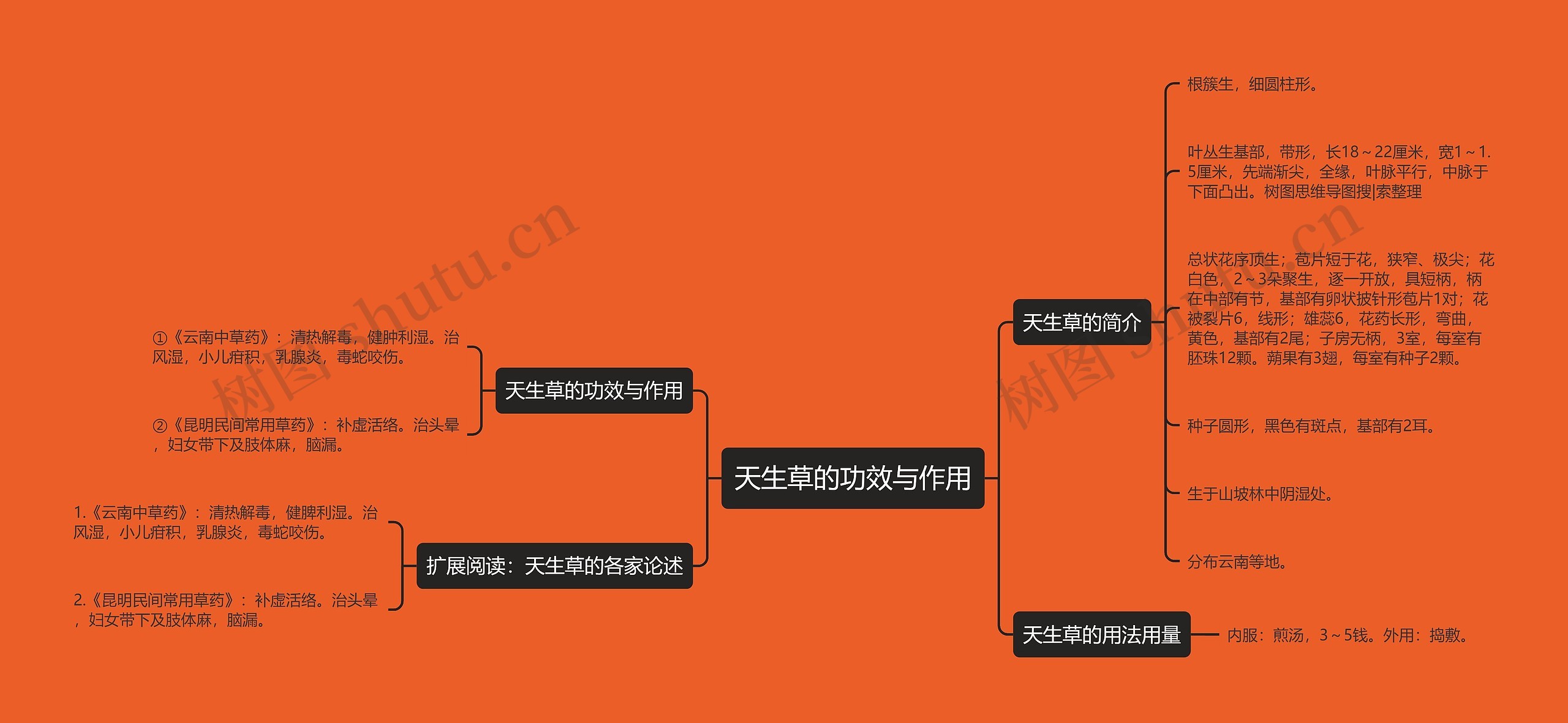 天生草的功效与作用思维导图