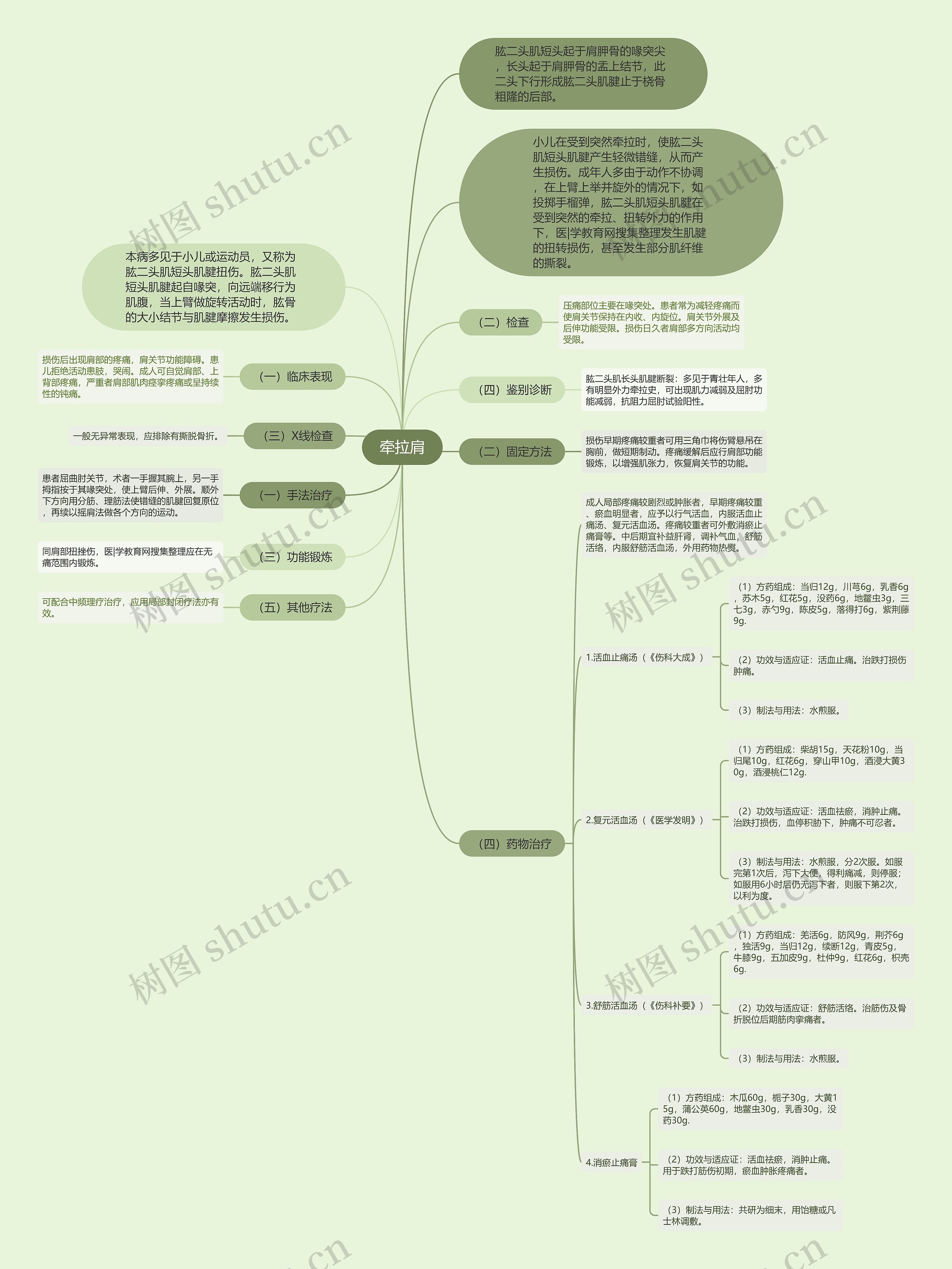 牵拉肩思维导图