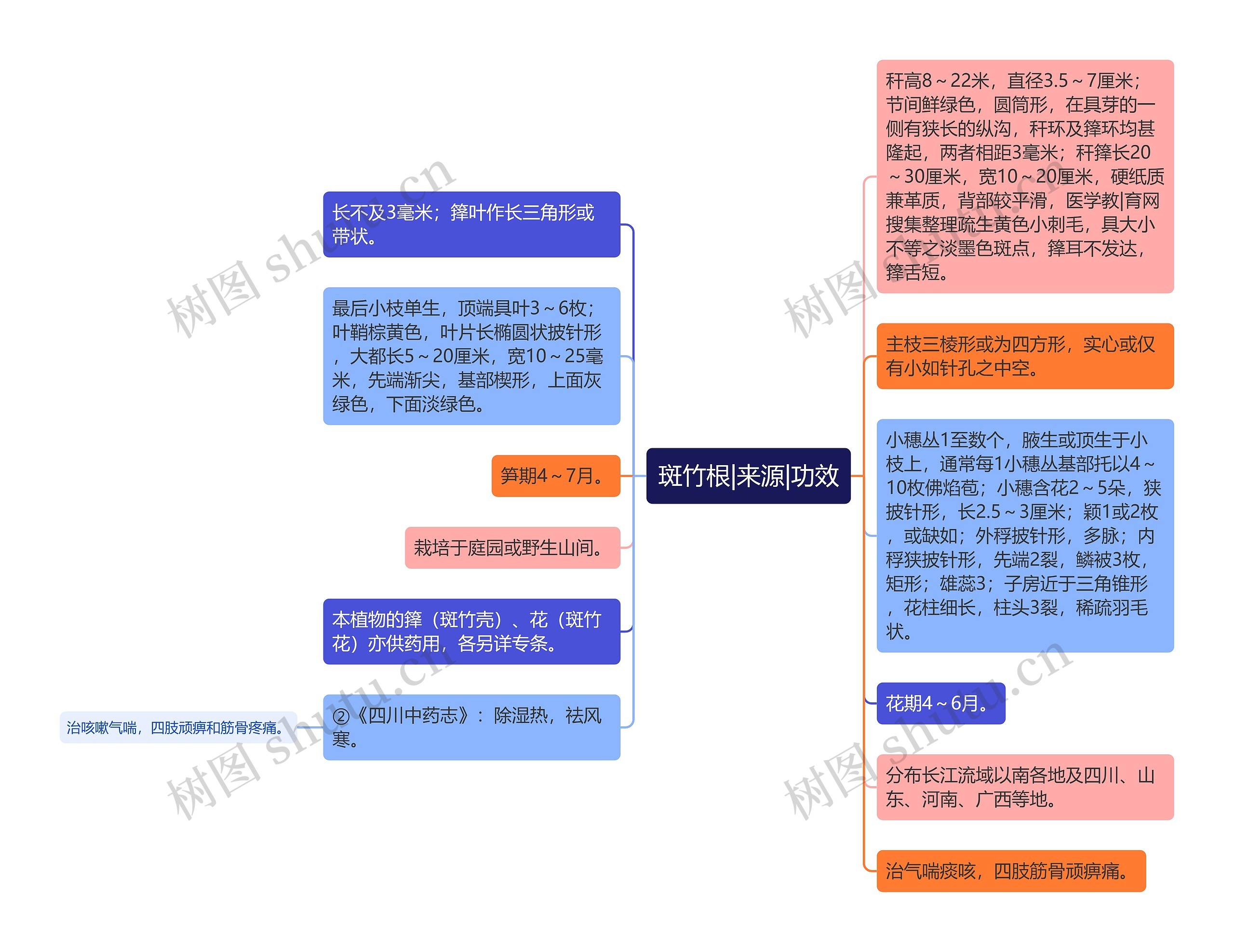 斑竹根|来源|功效思维导图