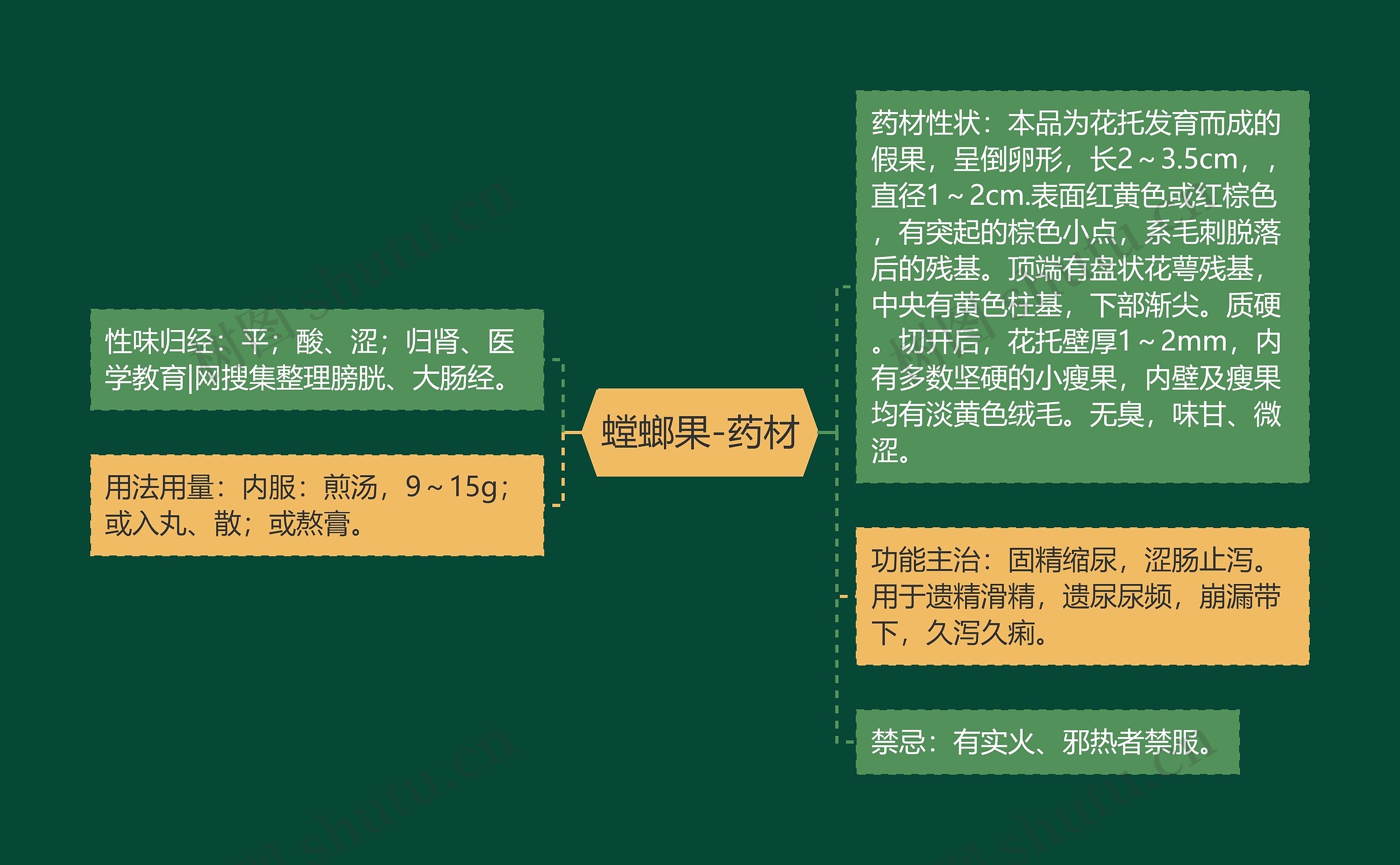 螳螂果-药材 螳螂果-药材