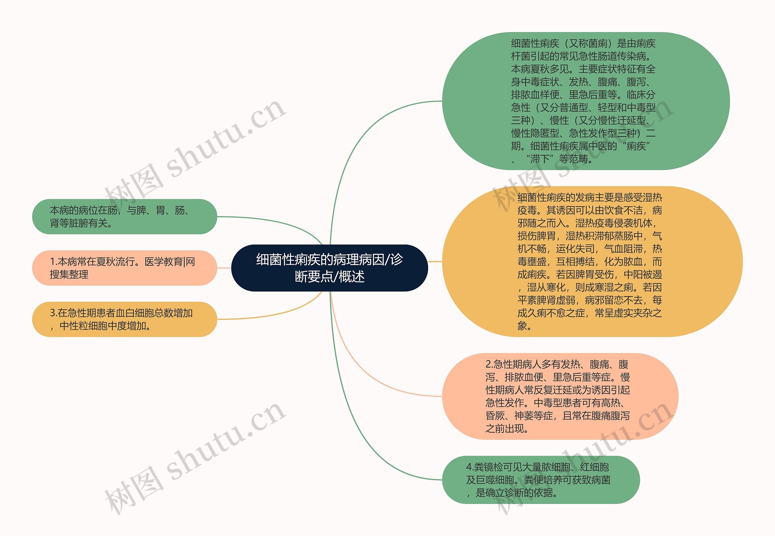 细菌性痢疾的病理病因/诊断要点/概述思维导图