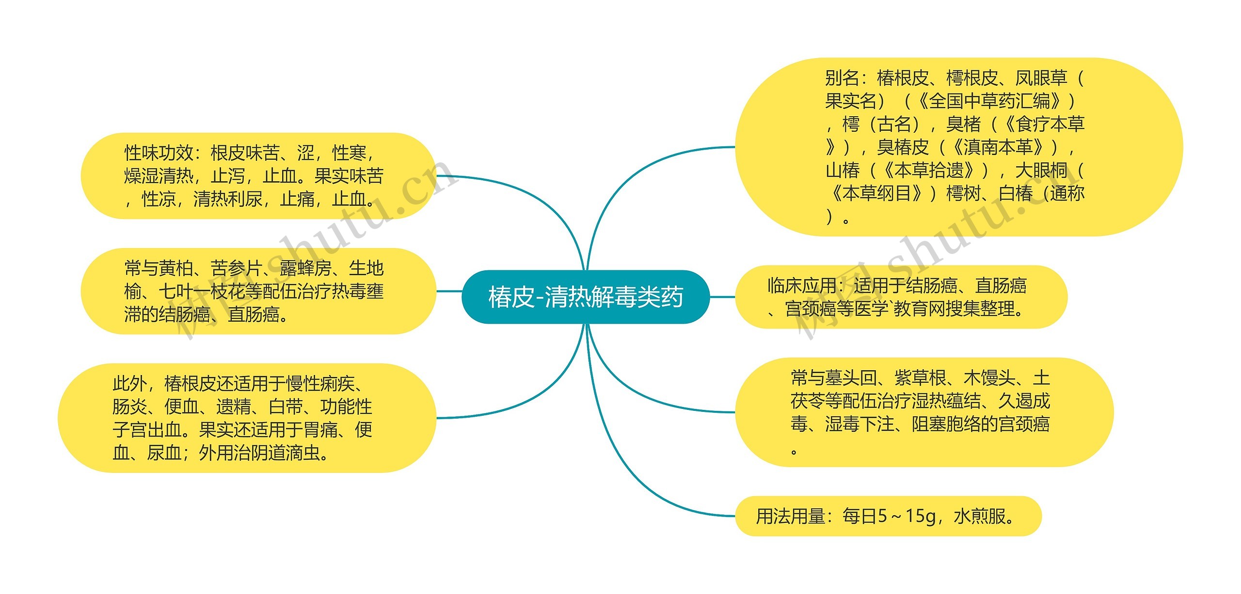 椿皮-清热解毒类药思维导图