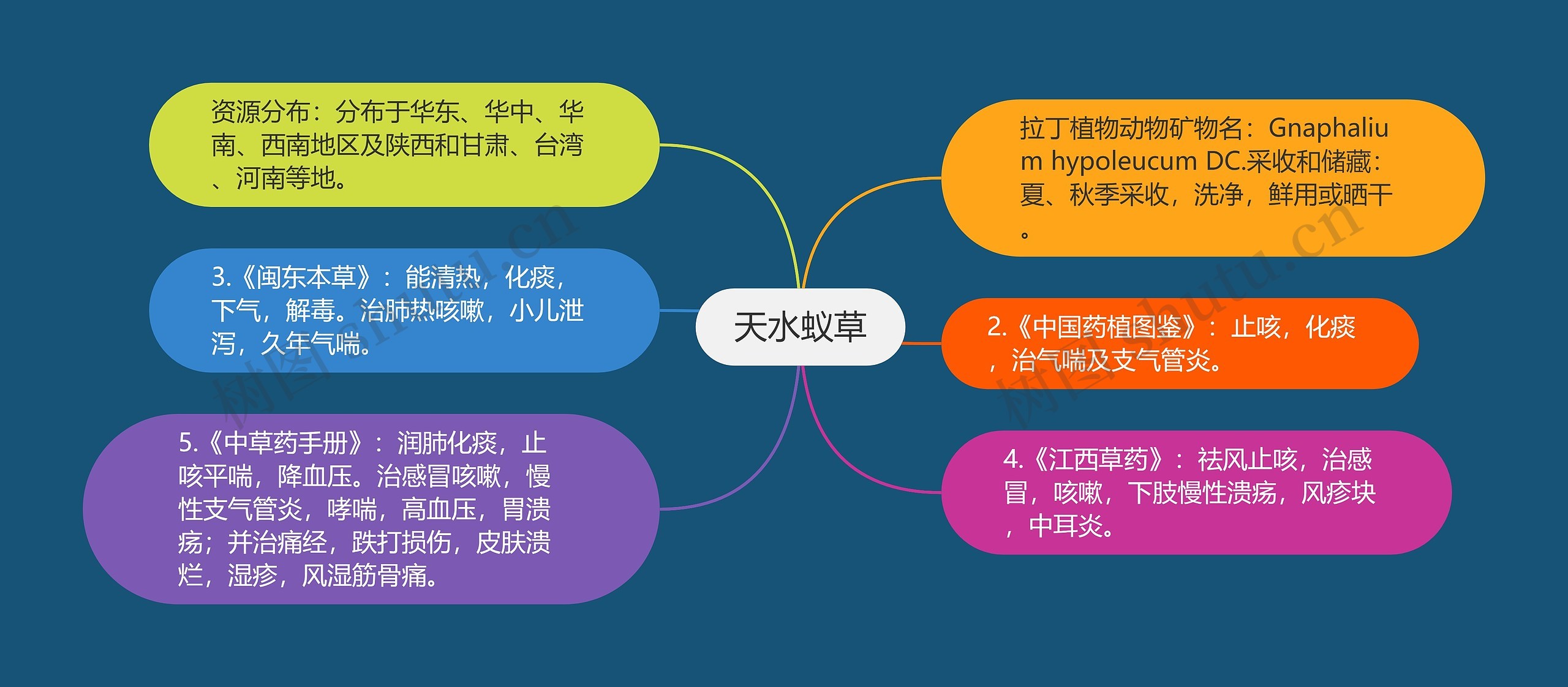 天水蚁草思维导图