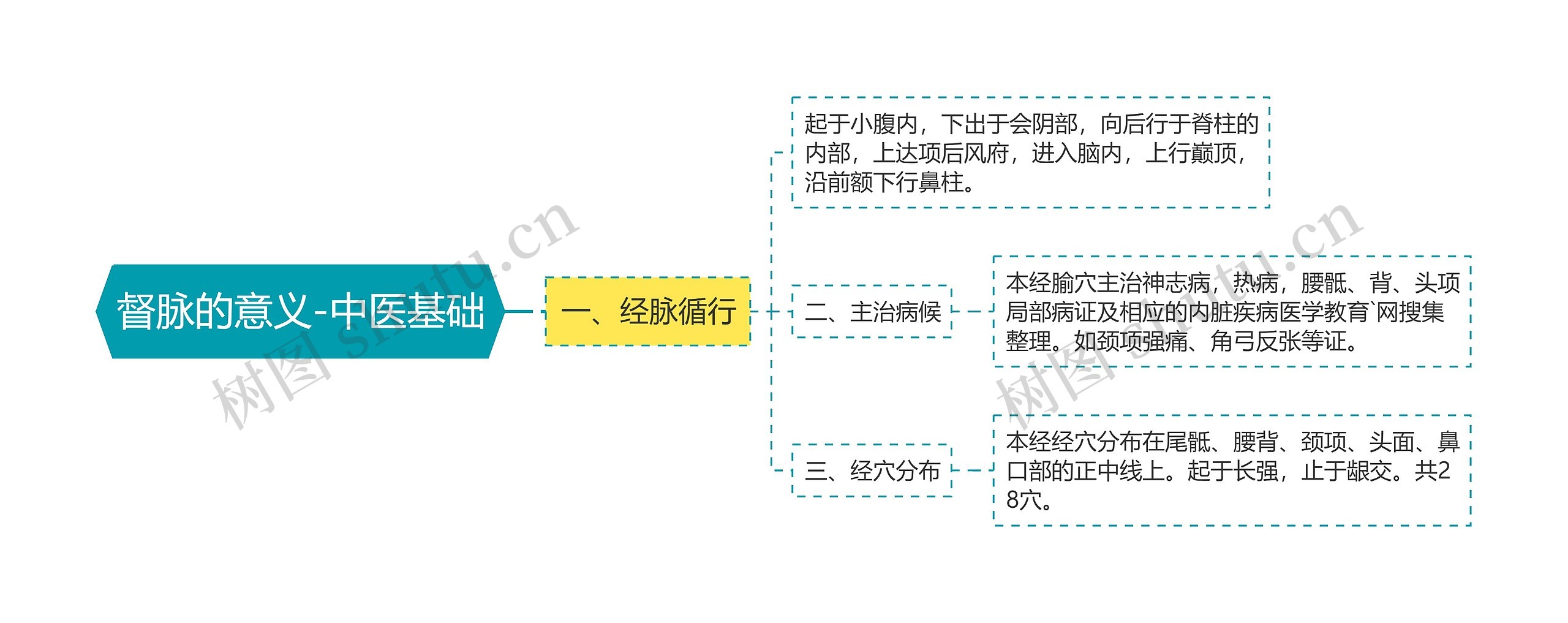 督脉的意义-中医基础思维导图