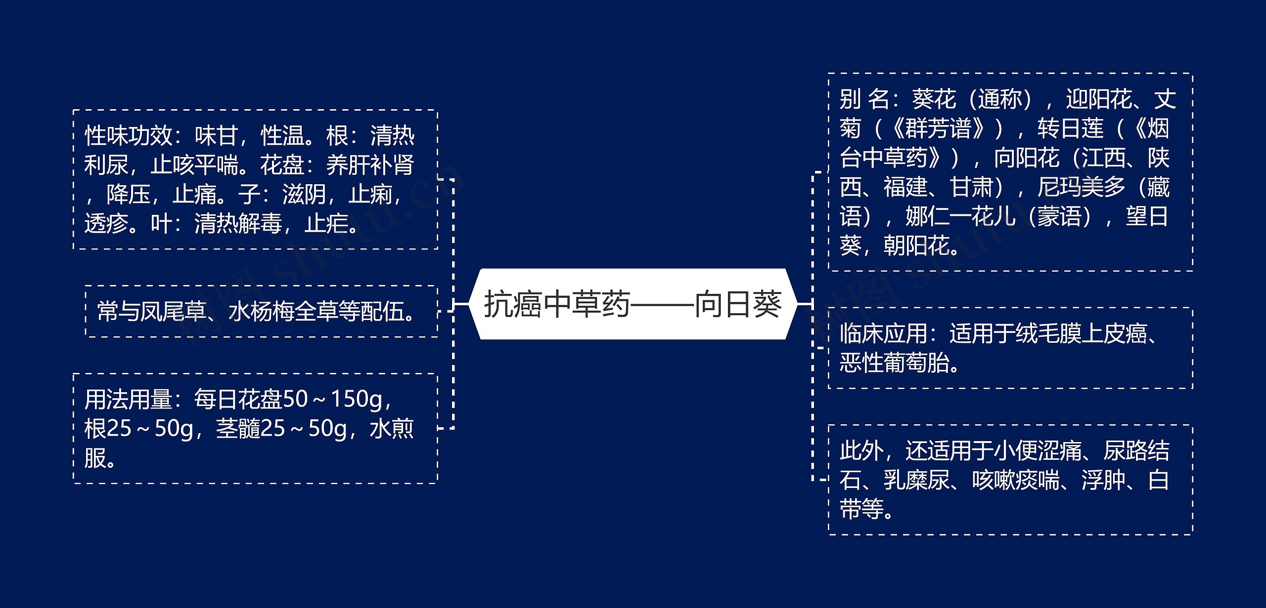 抗癌中草药——向日葵 抗癌中草药——向日葵