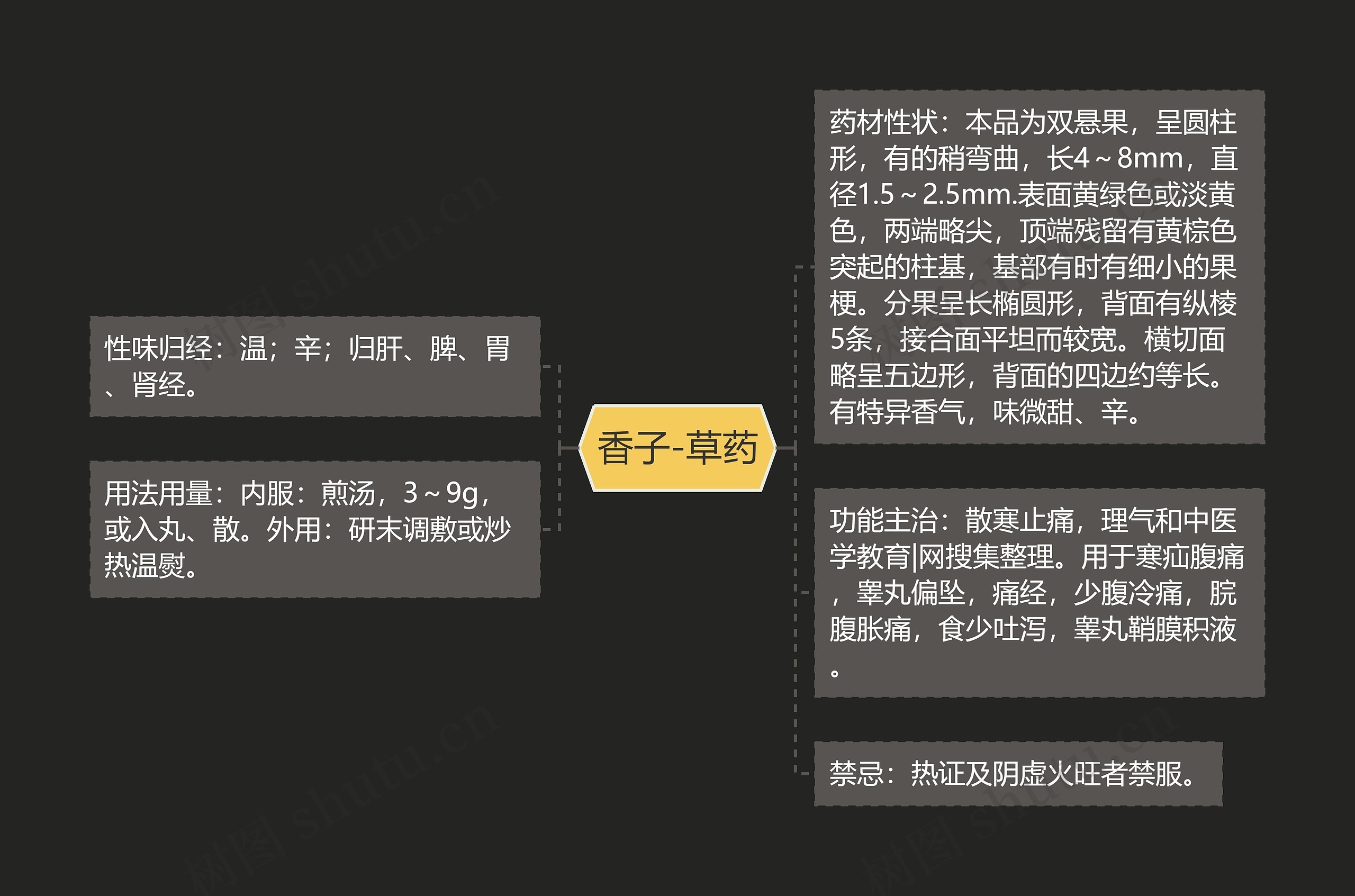 香子-草药 香子-草药
