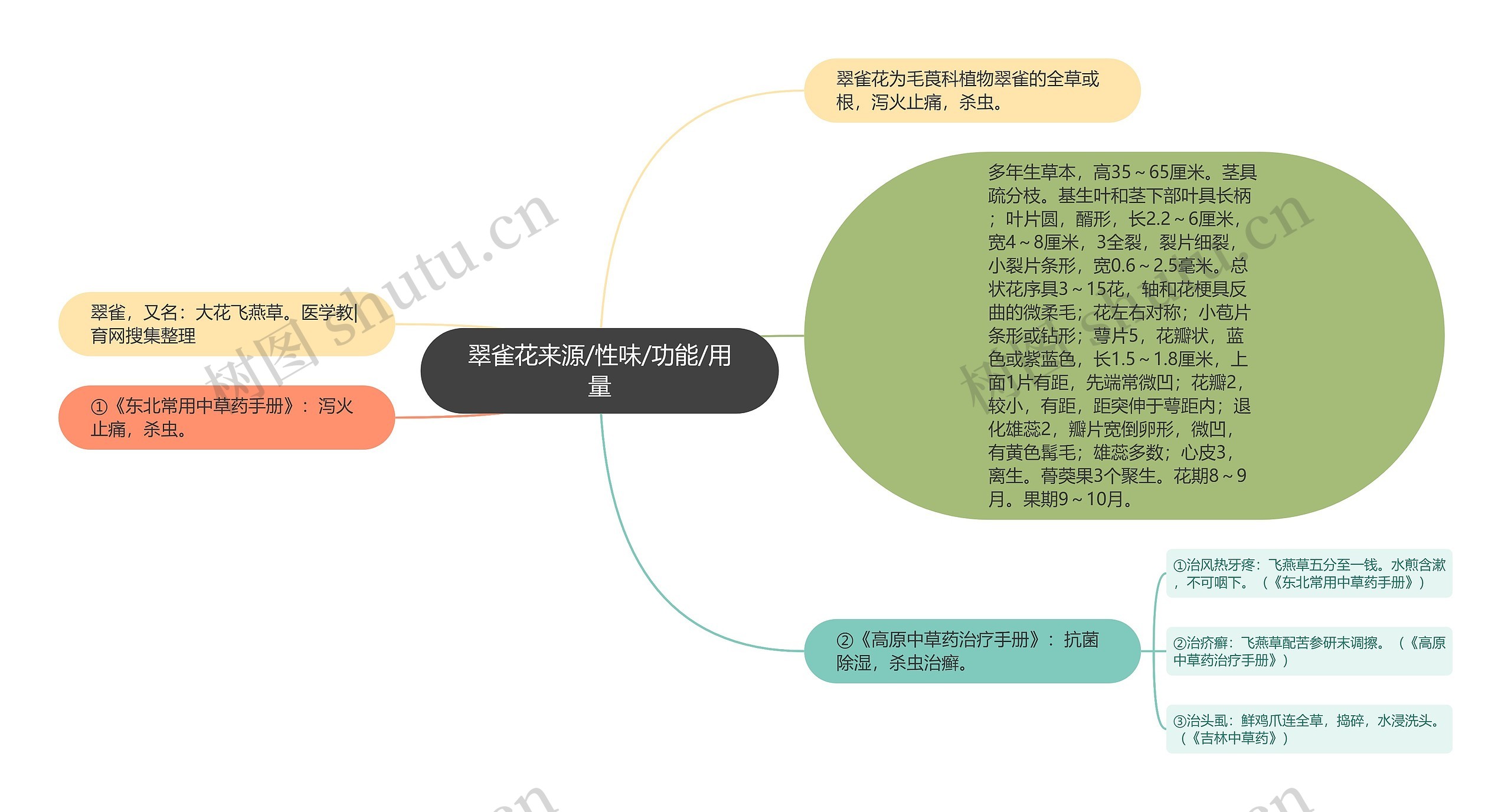 翠雀花来源/性味/功能/用量思维导图