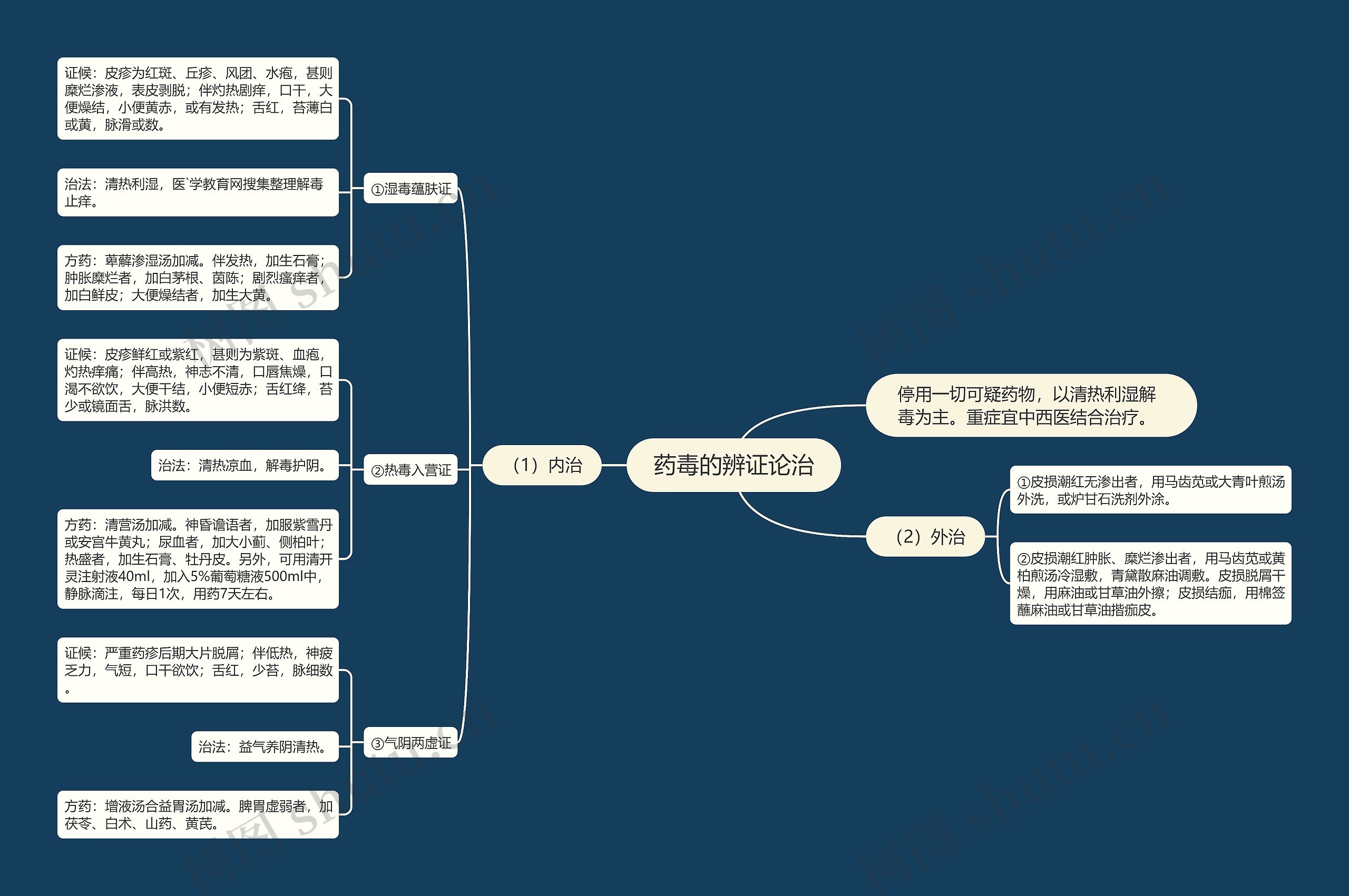 药毒的辨证论治 药毒的辨证论治