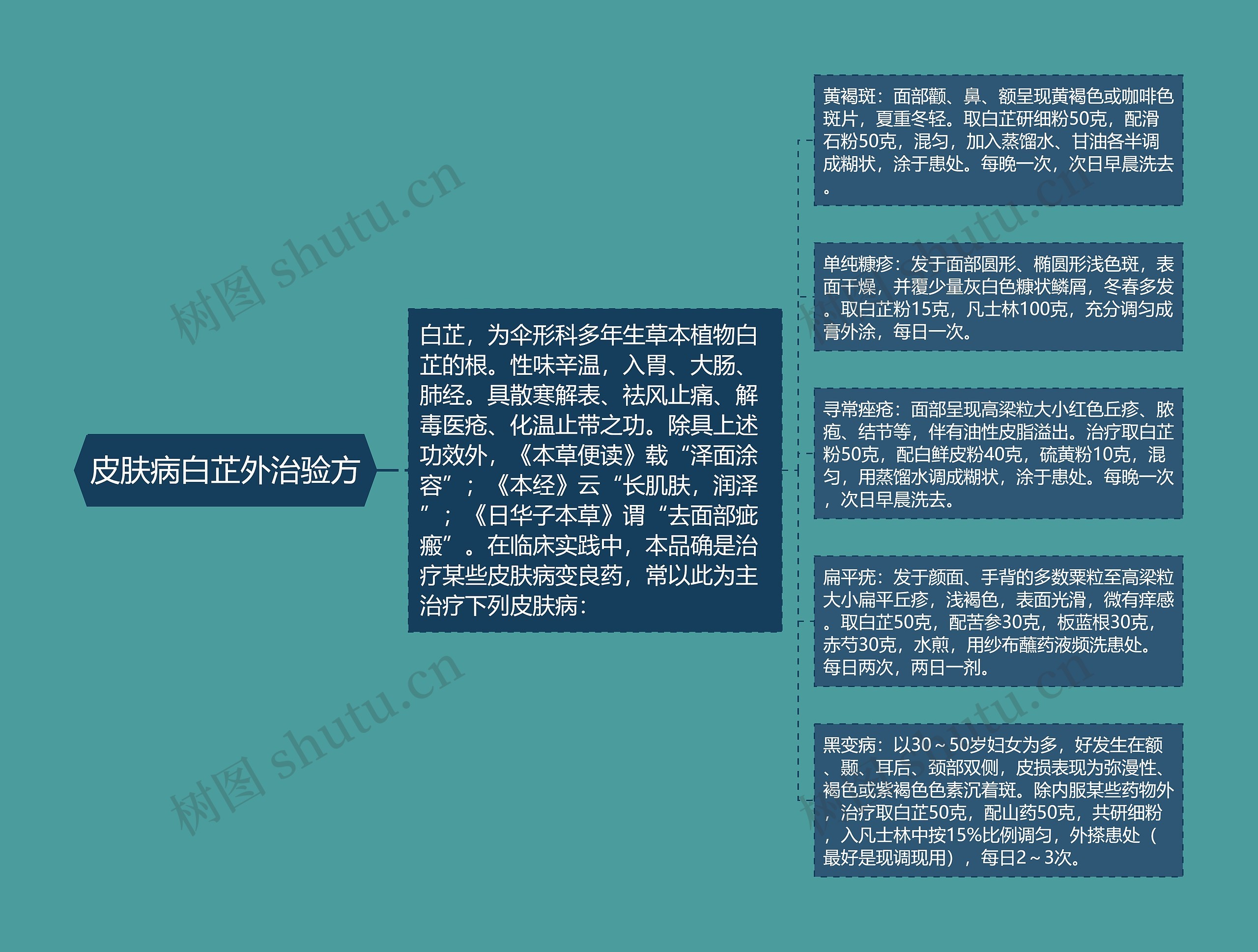 皮肤病白芷外治验方