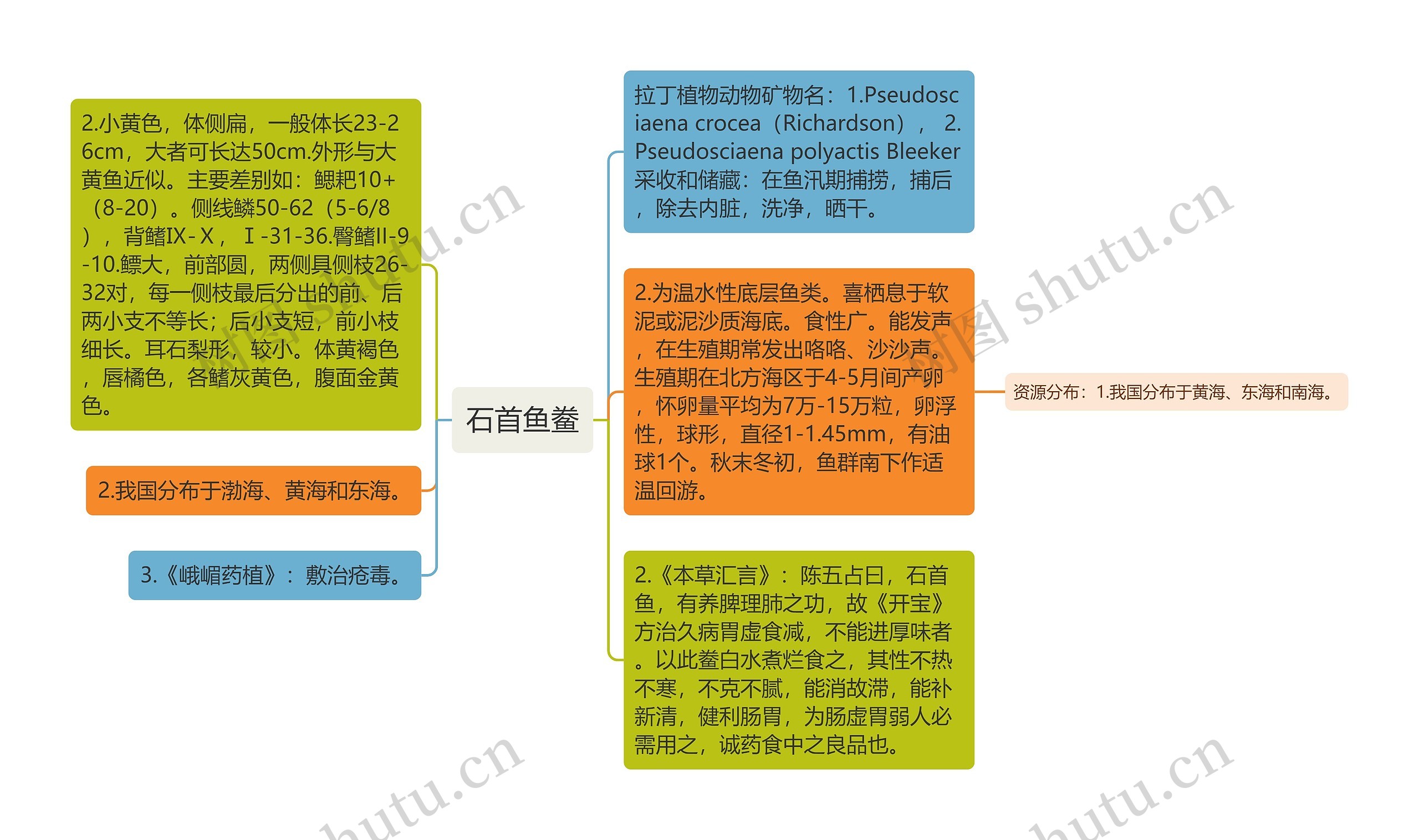 石首鱼鲞思维导图