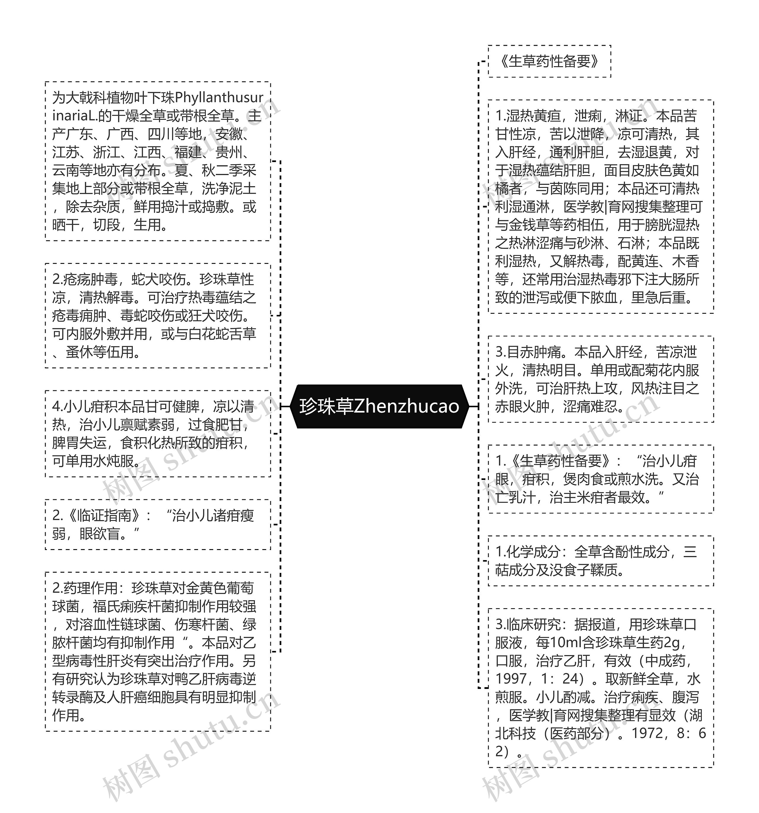 珍珠草Zhenzhucao思维导图