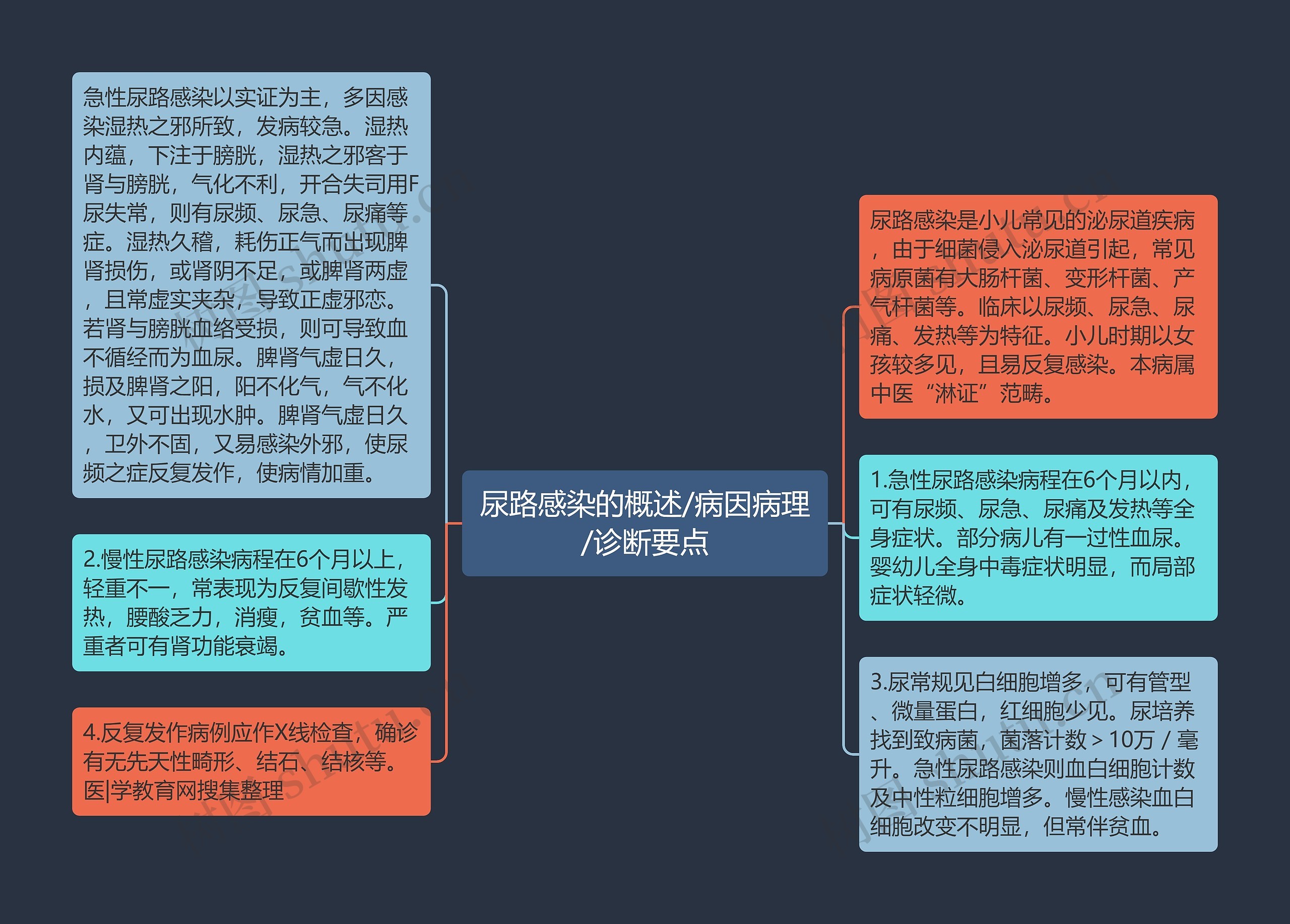 尿路感染的概述/病因病理/诊断要点思维导图