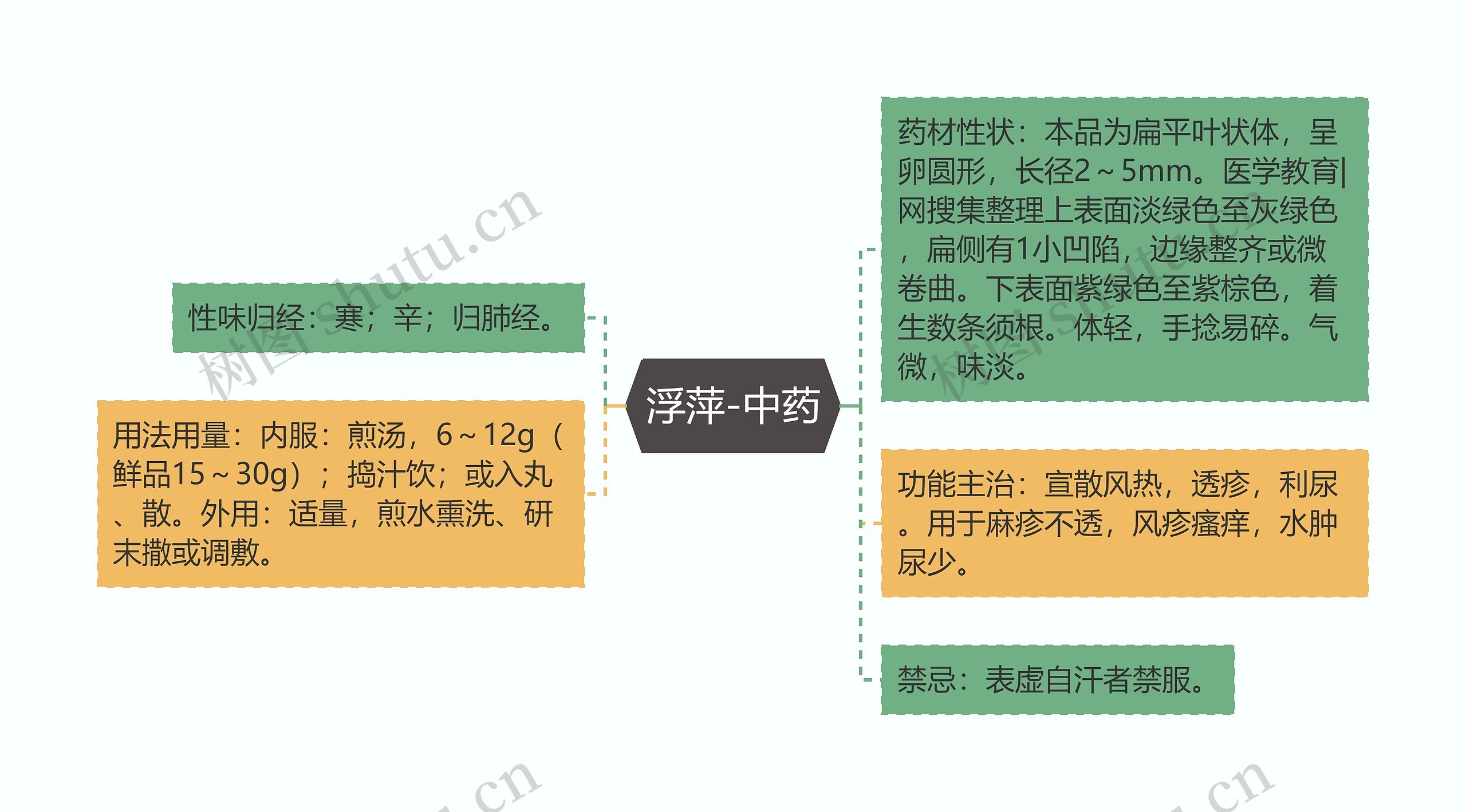 浮萍-中药思维导图