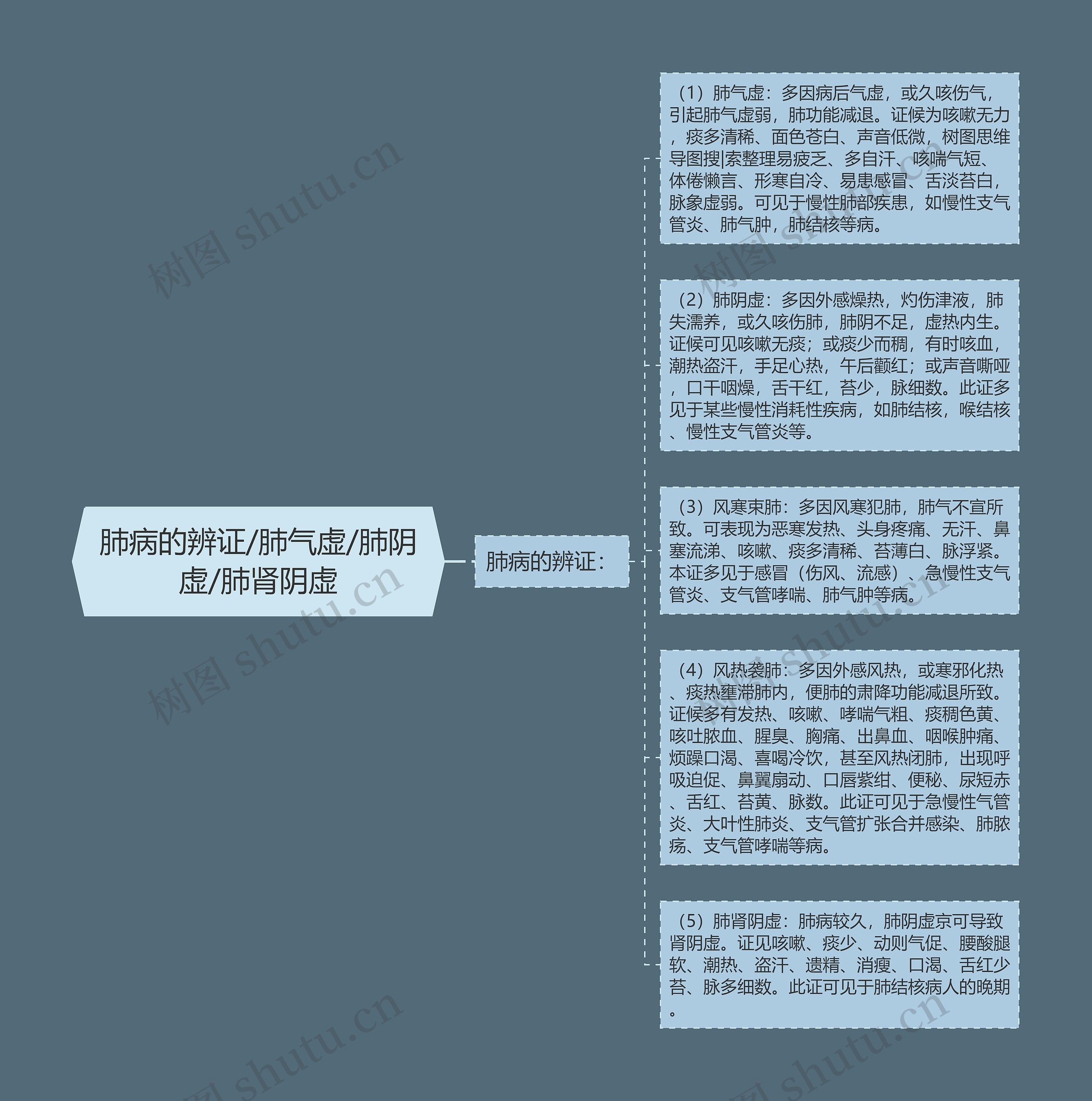 肺病的辨证/肺气虚/肺阴虚/肺肾阴虚思维导图