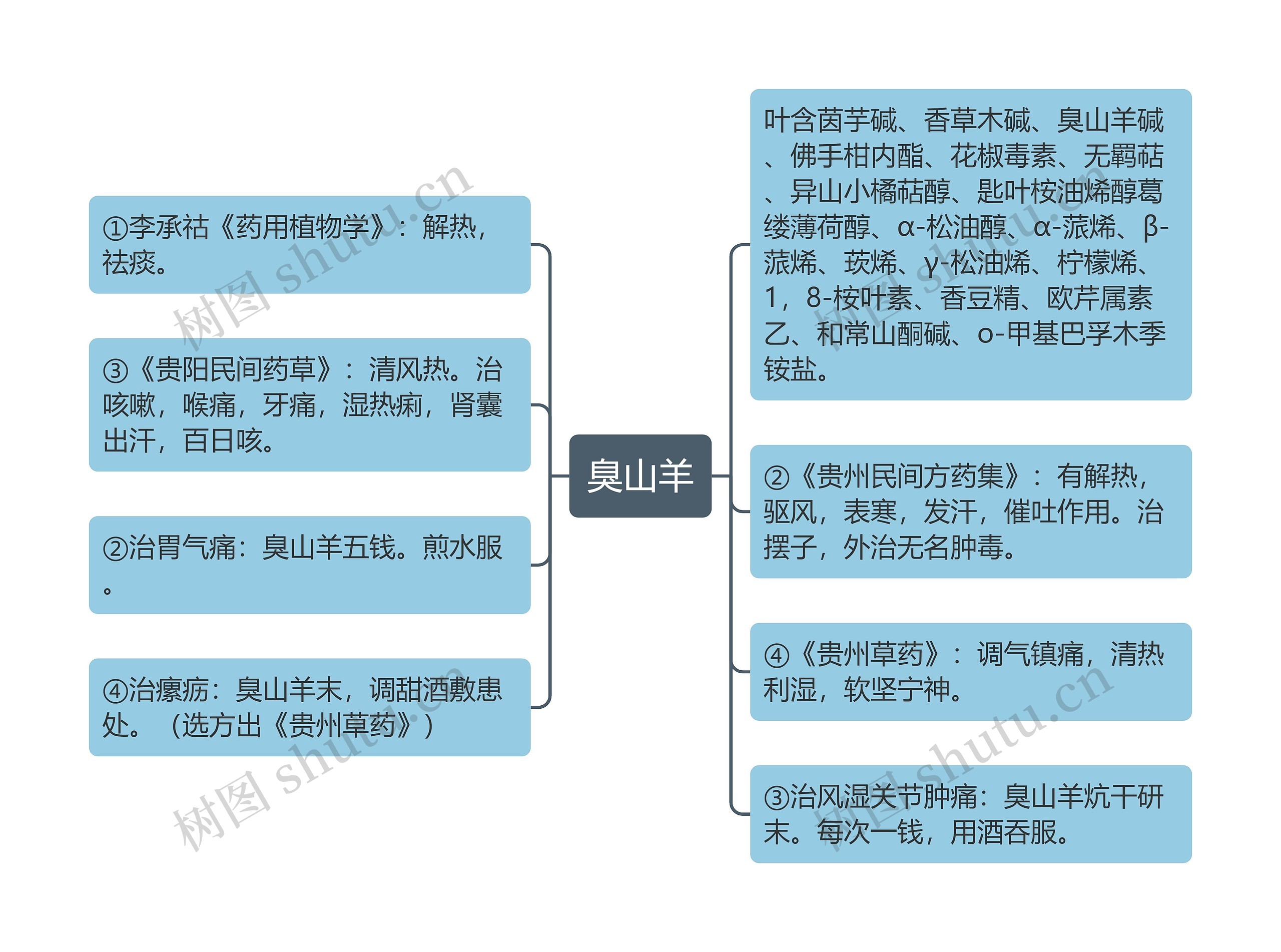 臭山羊思维导图