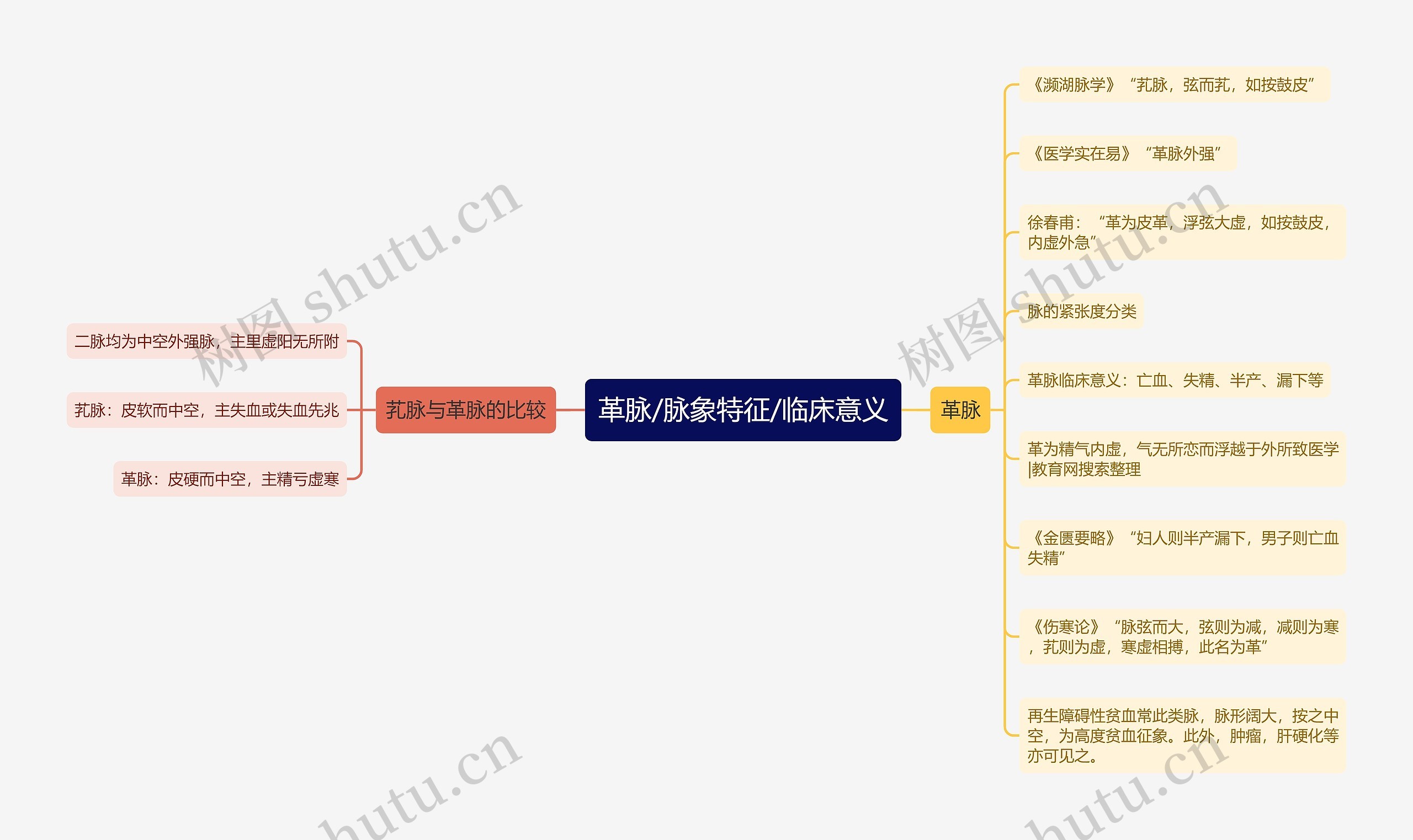 革脉/脉象特征/临床意义思维导图