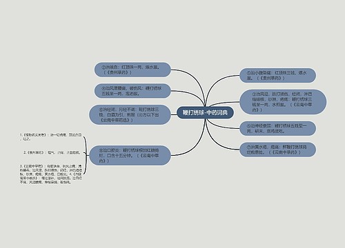鞭打绣球-中药词典