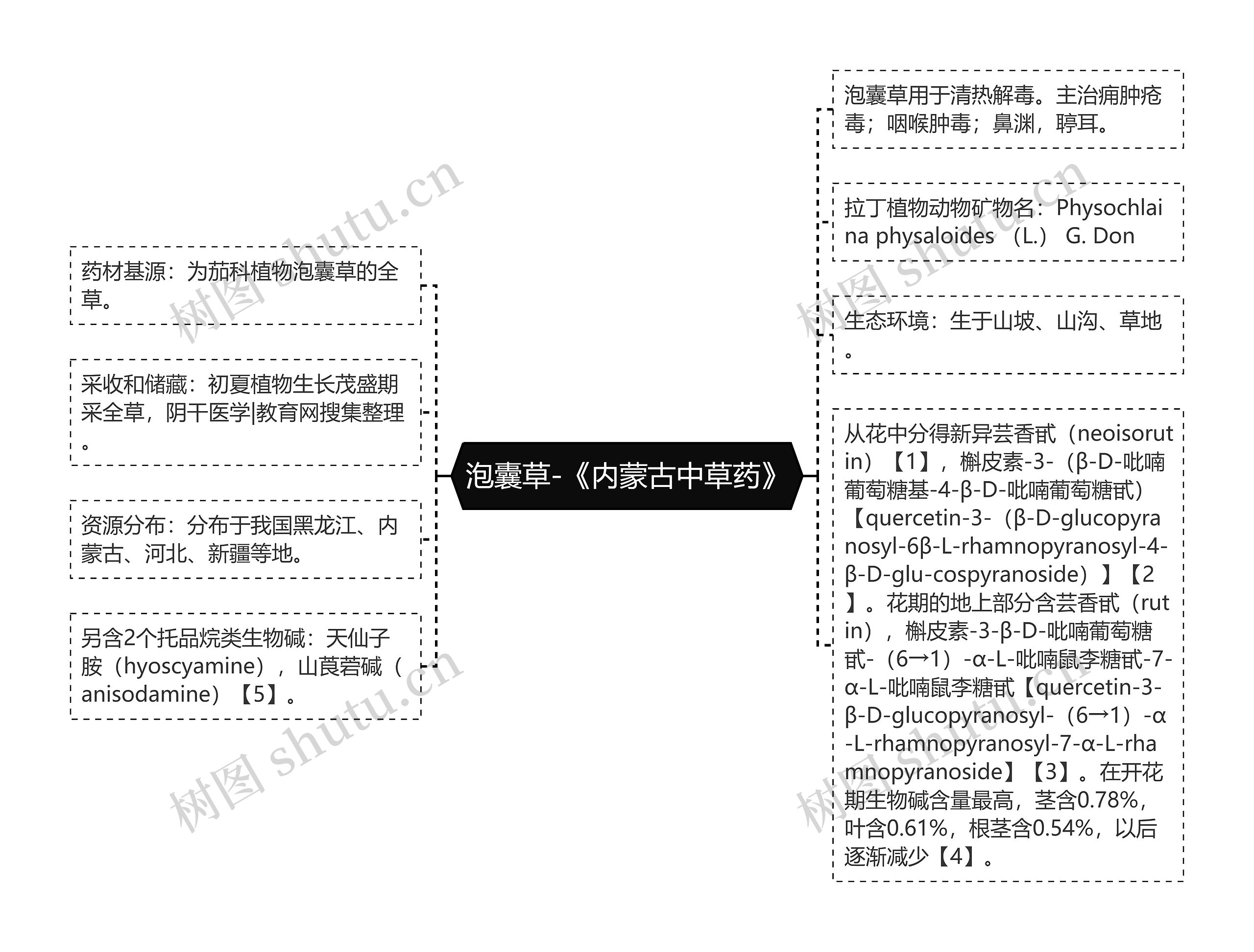 泡囊草-《内蒙古中草药》思维导图