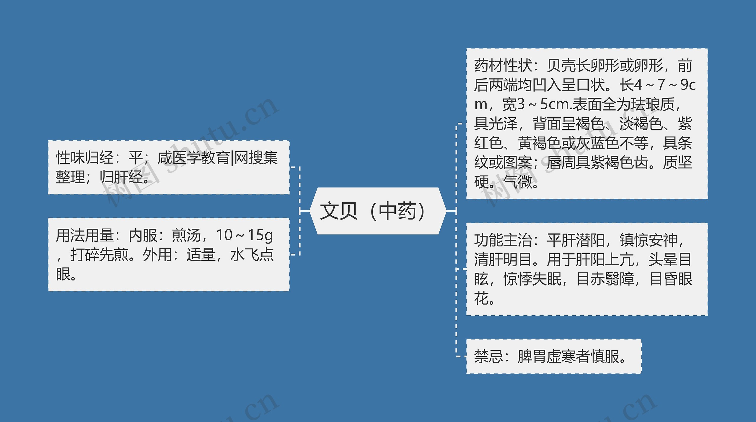 文贝（中药）思维导图