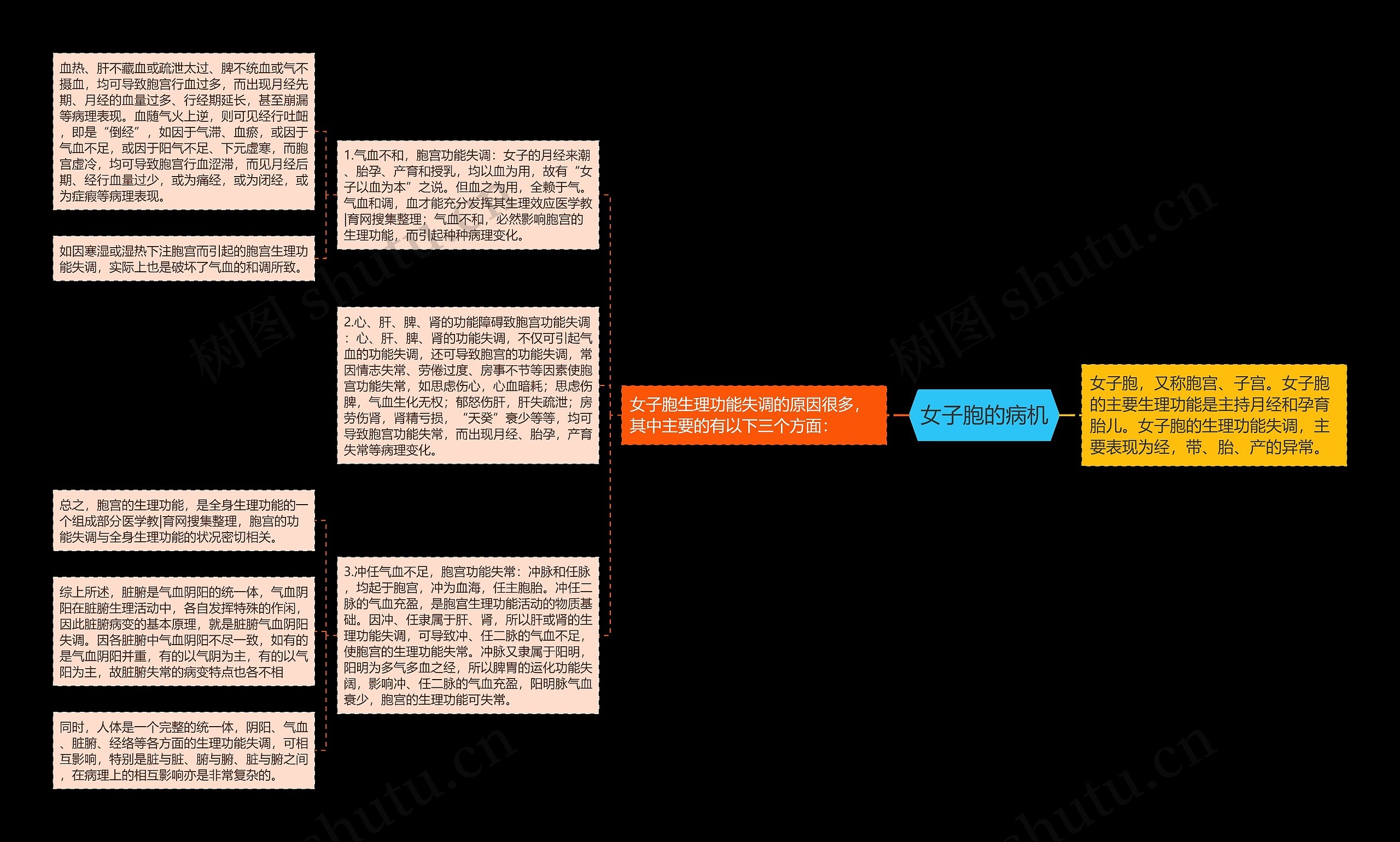 女子胞的病机思维导图