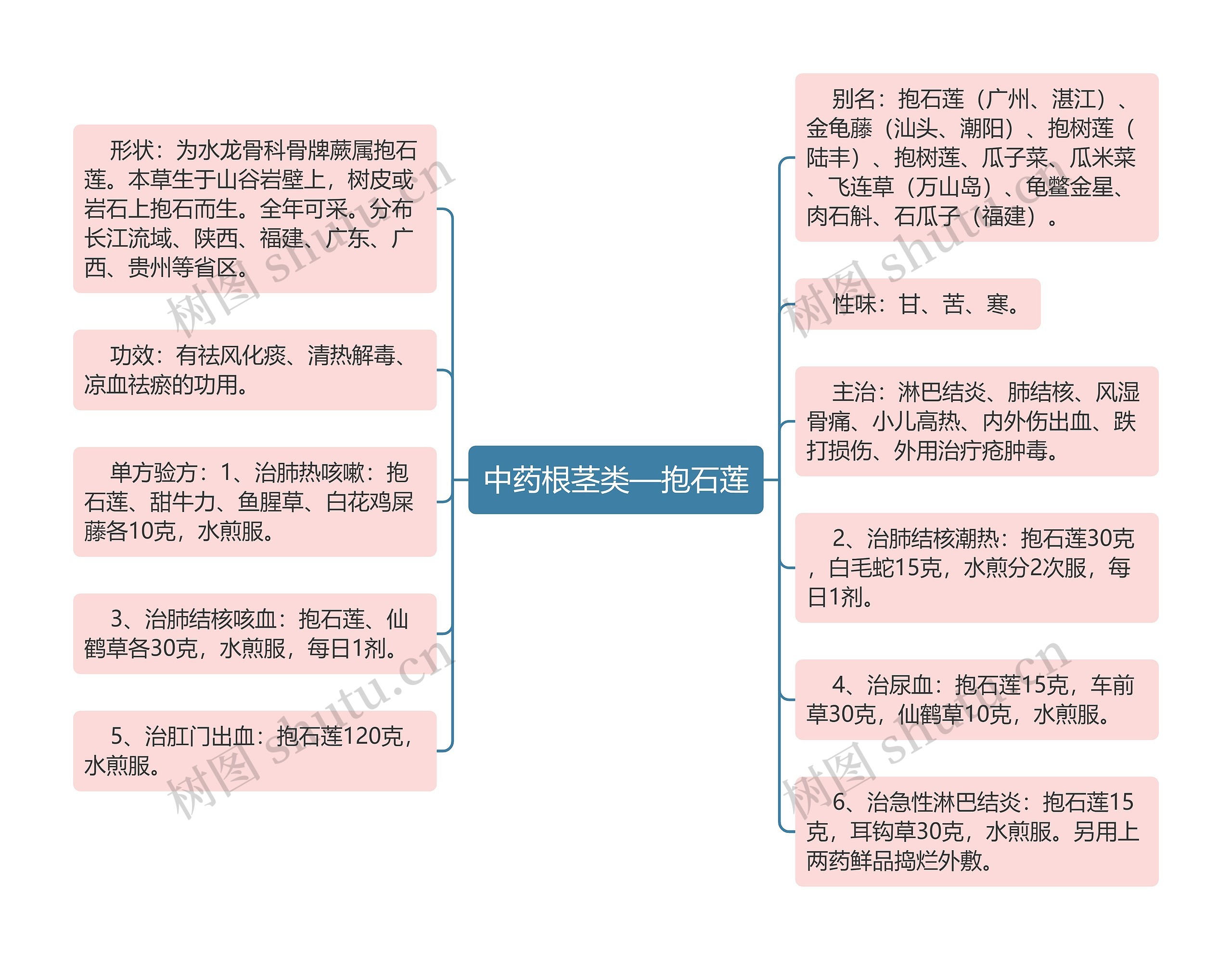 中药根茎类—抱石莲思维导图