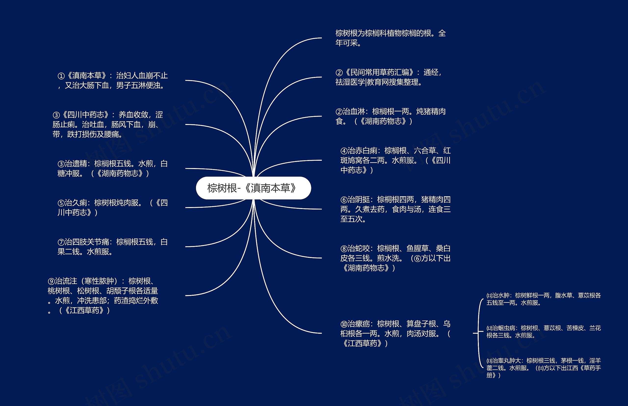 棕树根-《滇南本草》