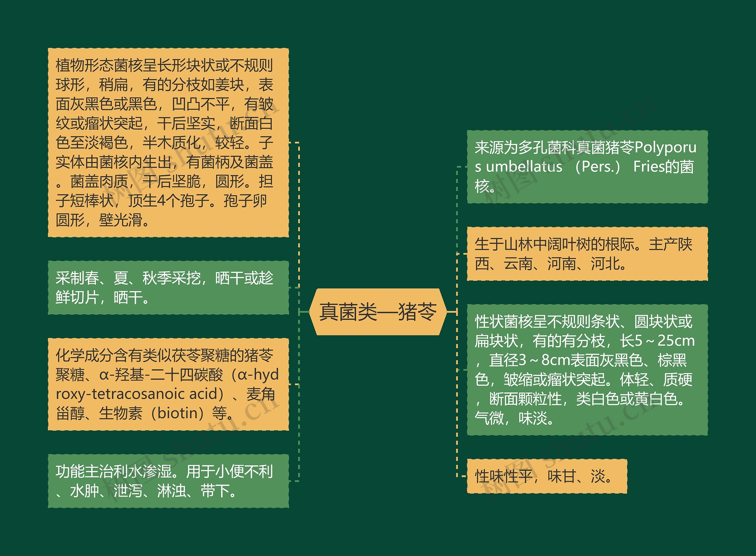 真菌类—猪苓 真菌类—猪苓