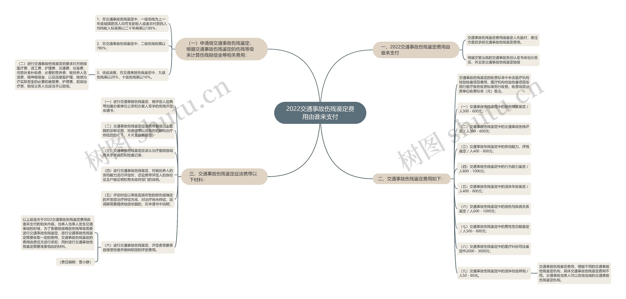 2022交通事故伤残鉴定费用由谁来支付思维导图