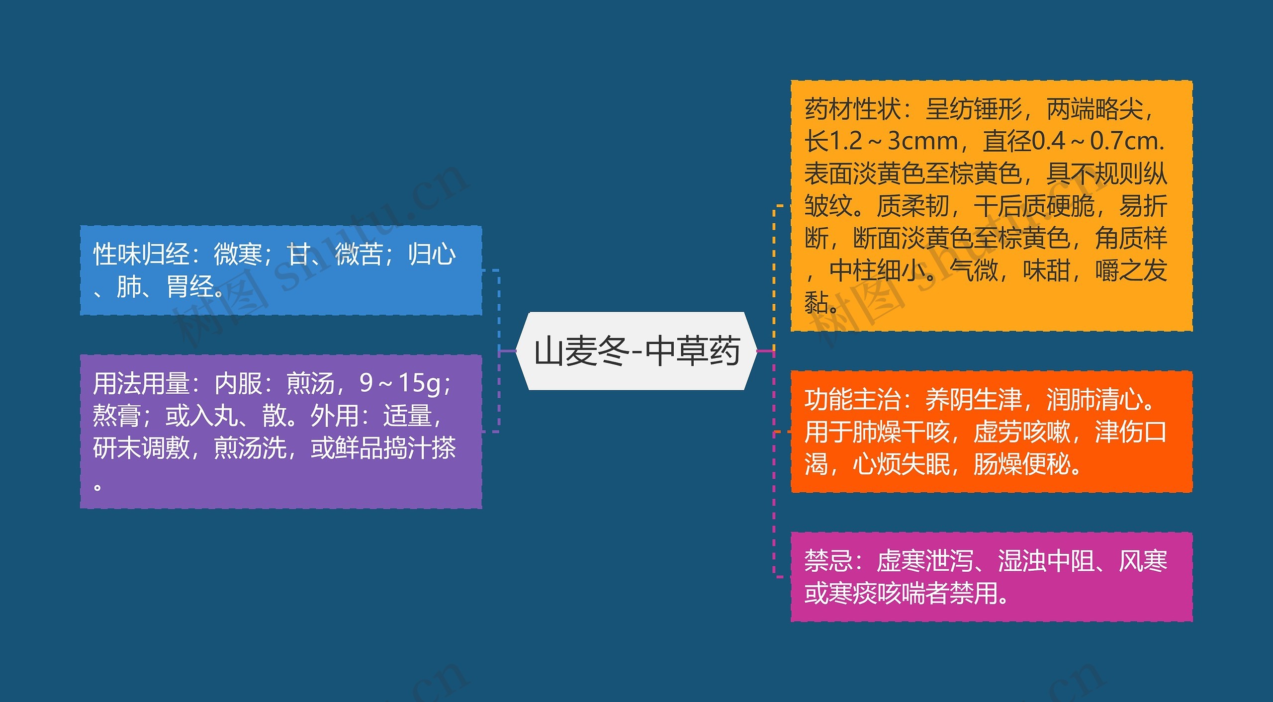 山麦冬-中草药思维导图