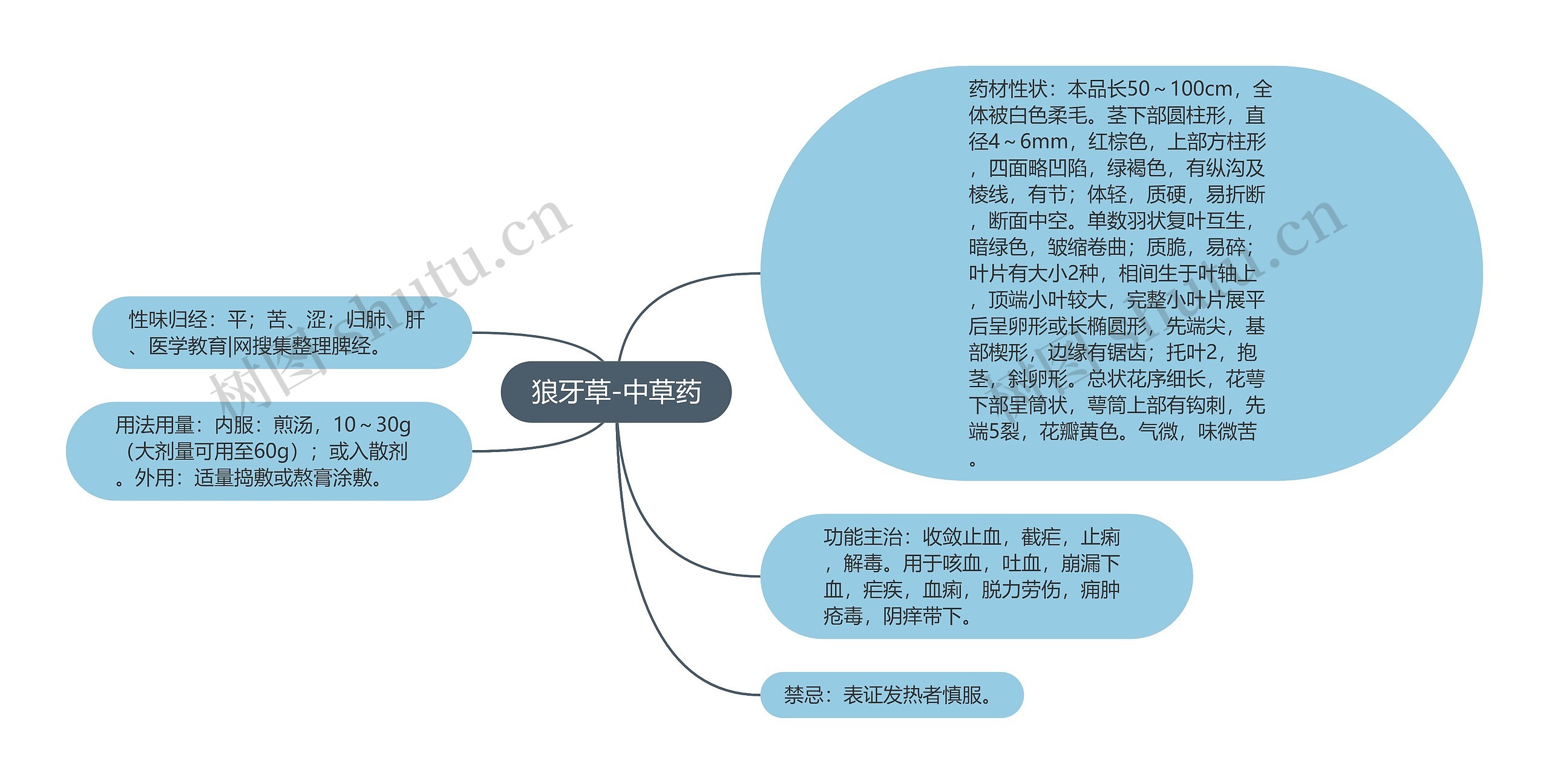 狼牙草-中草药思维导图