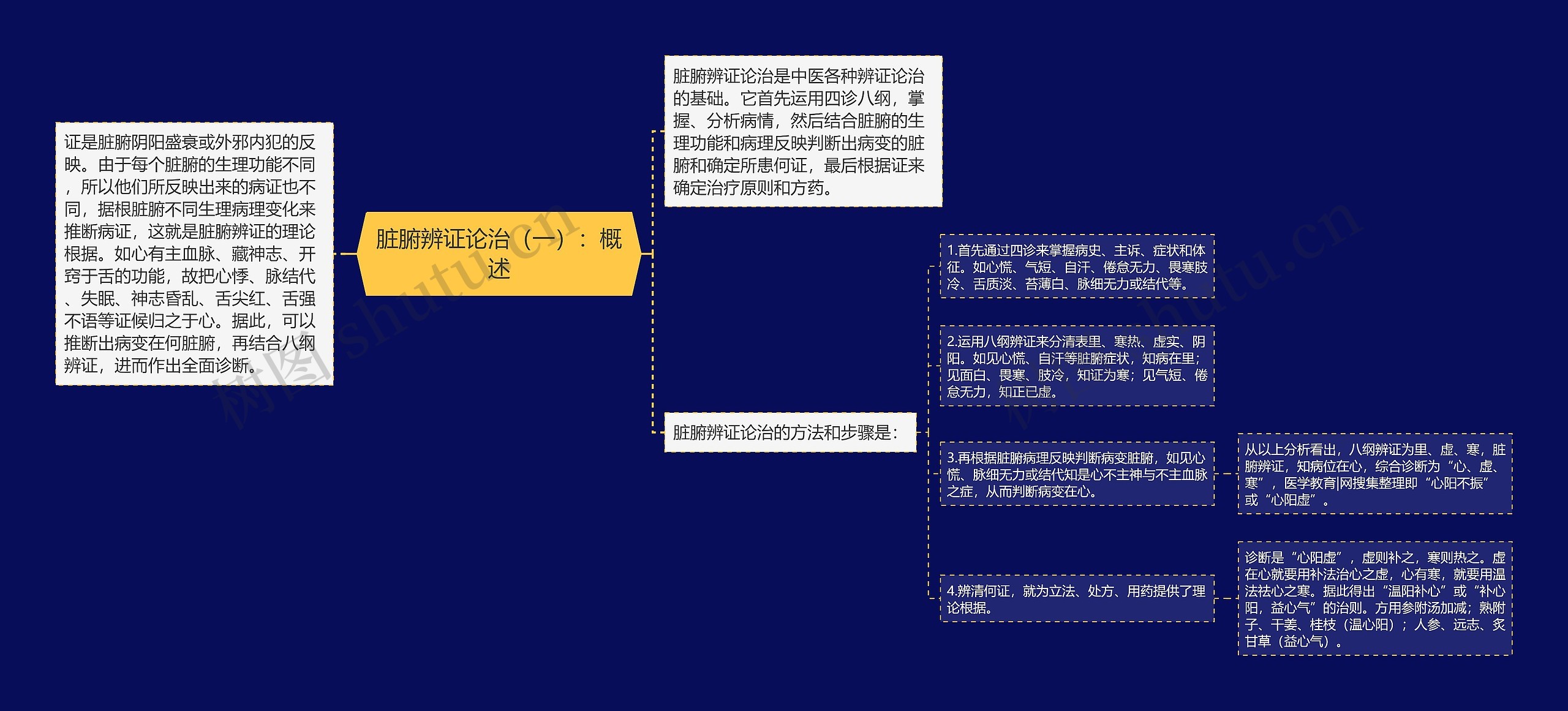 脏腑辨证论治（一）：概述