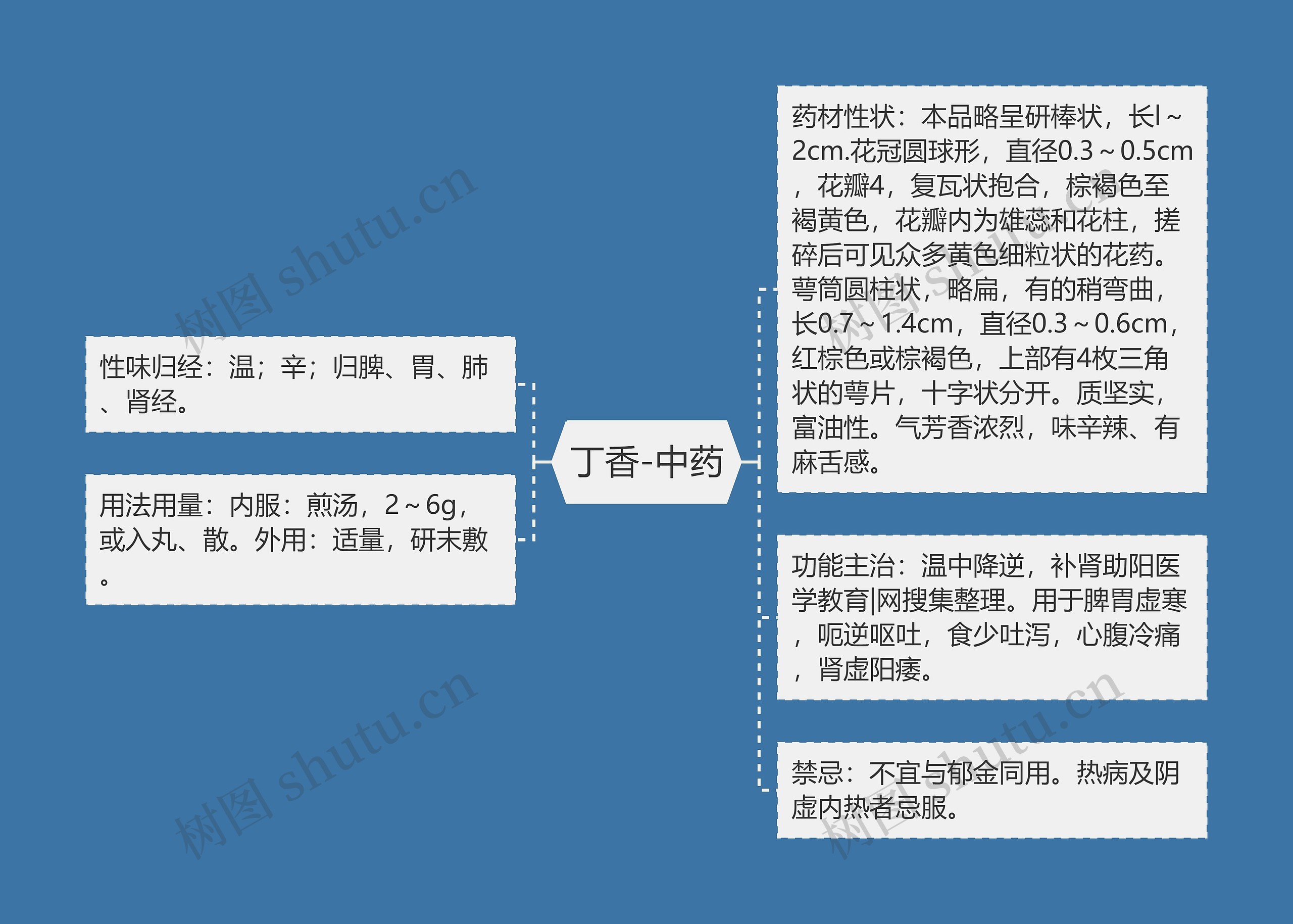 丁香-中药思维导图