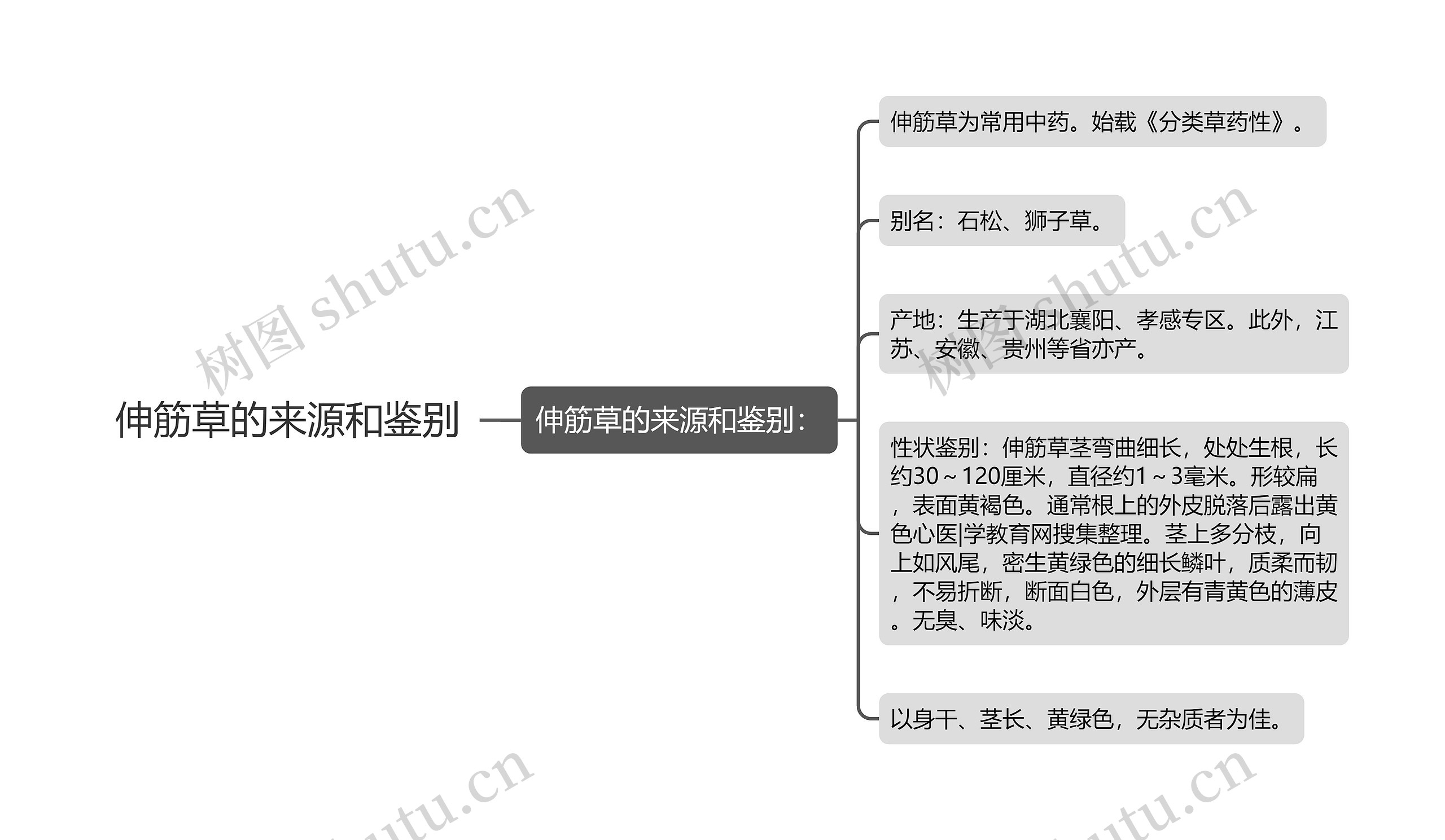 伸筋草的来源和鉴别思维导图