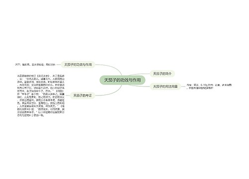 天茄子的功效与作用