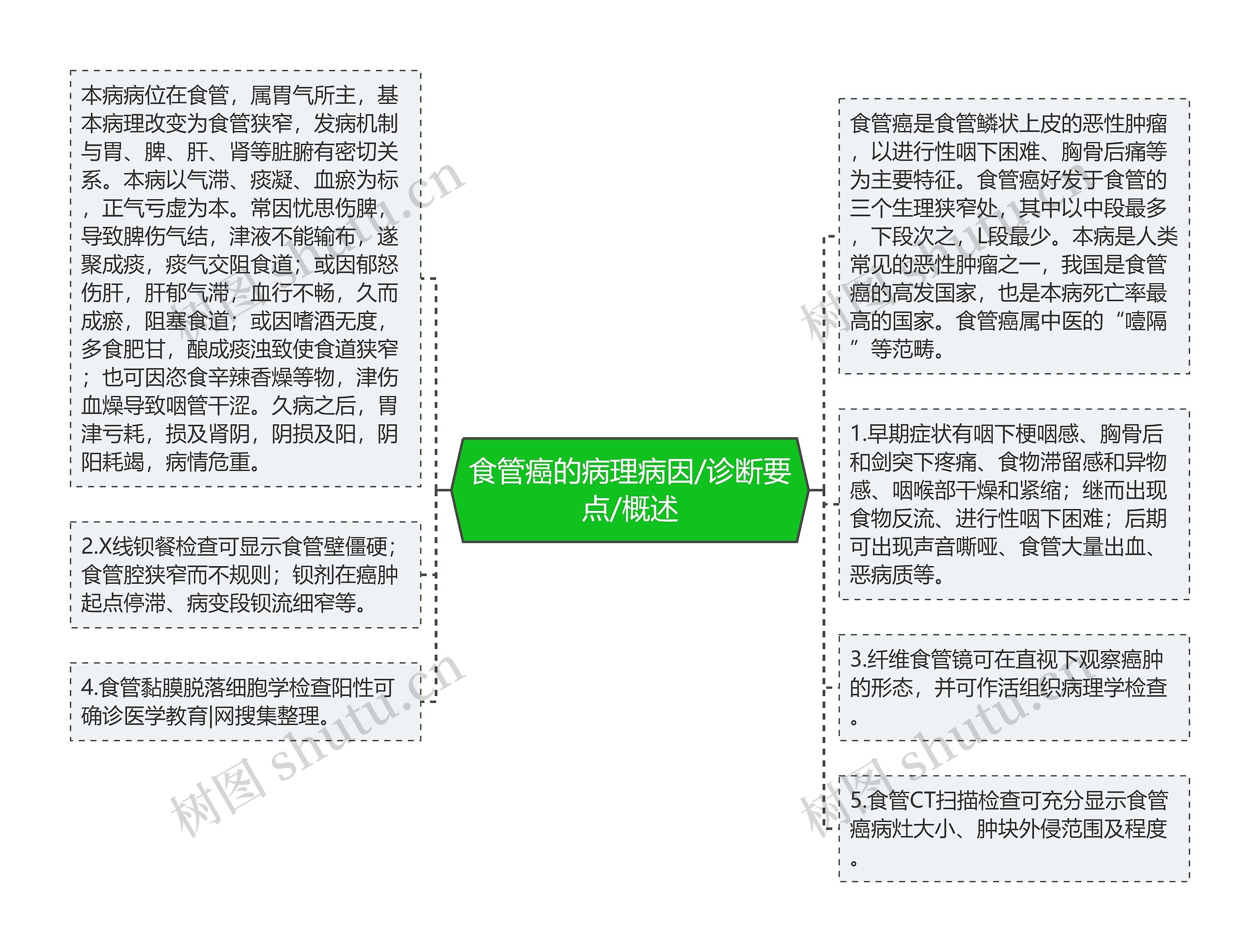 食管癌的病理病因/诊断要点/概述思维导图