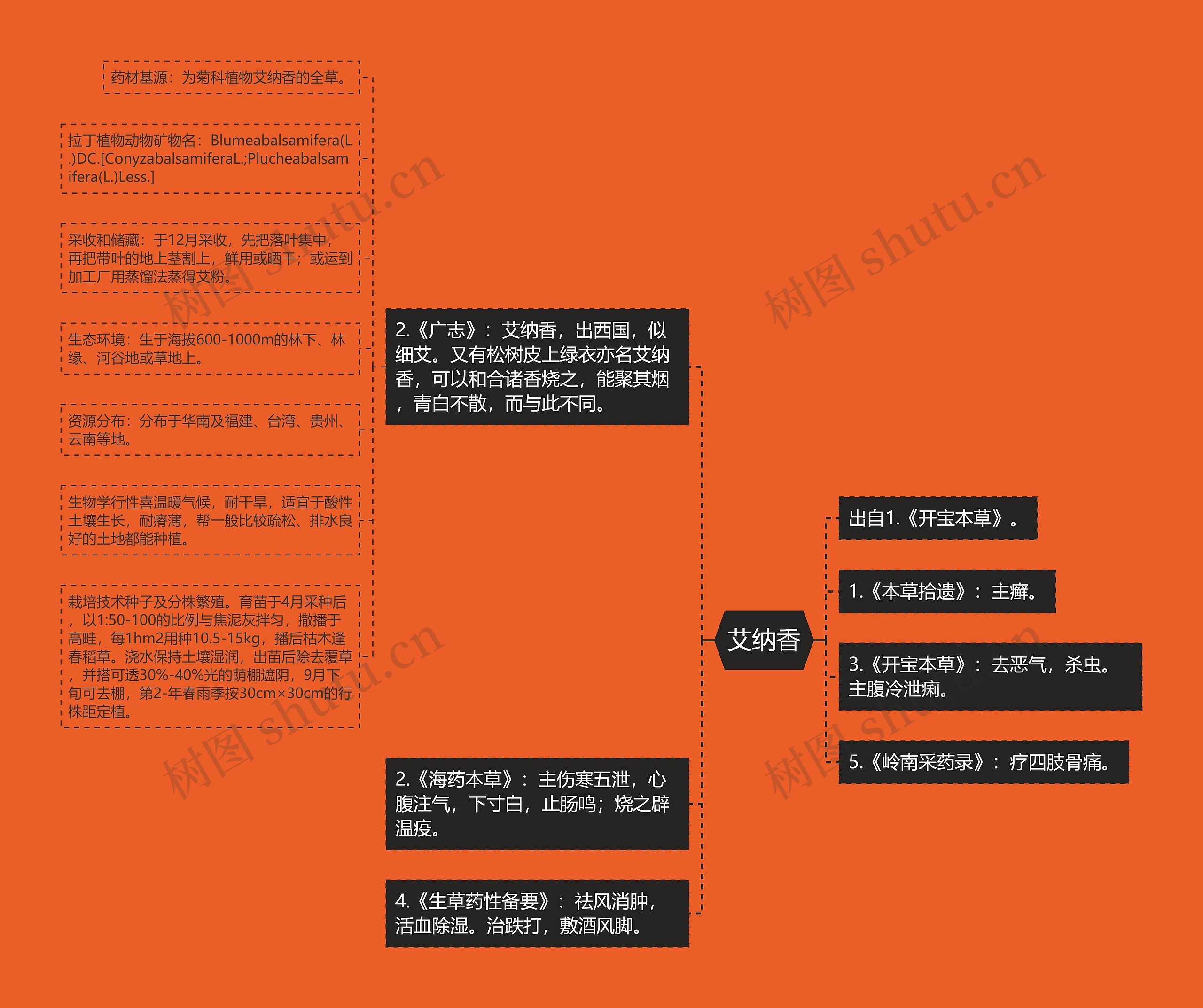 艾纳香思维导图