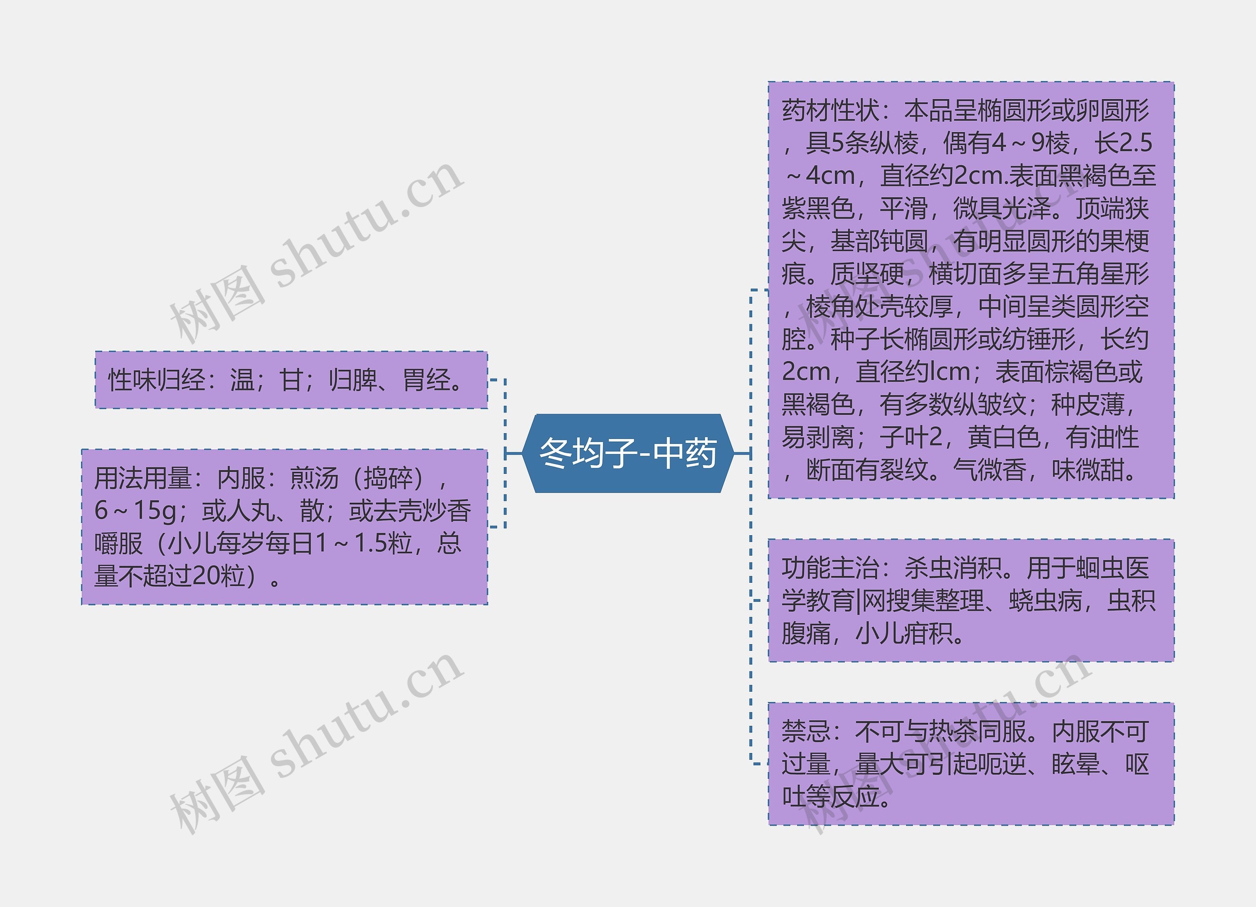 冬均子-中药思维导图