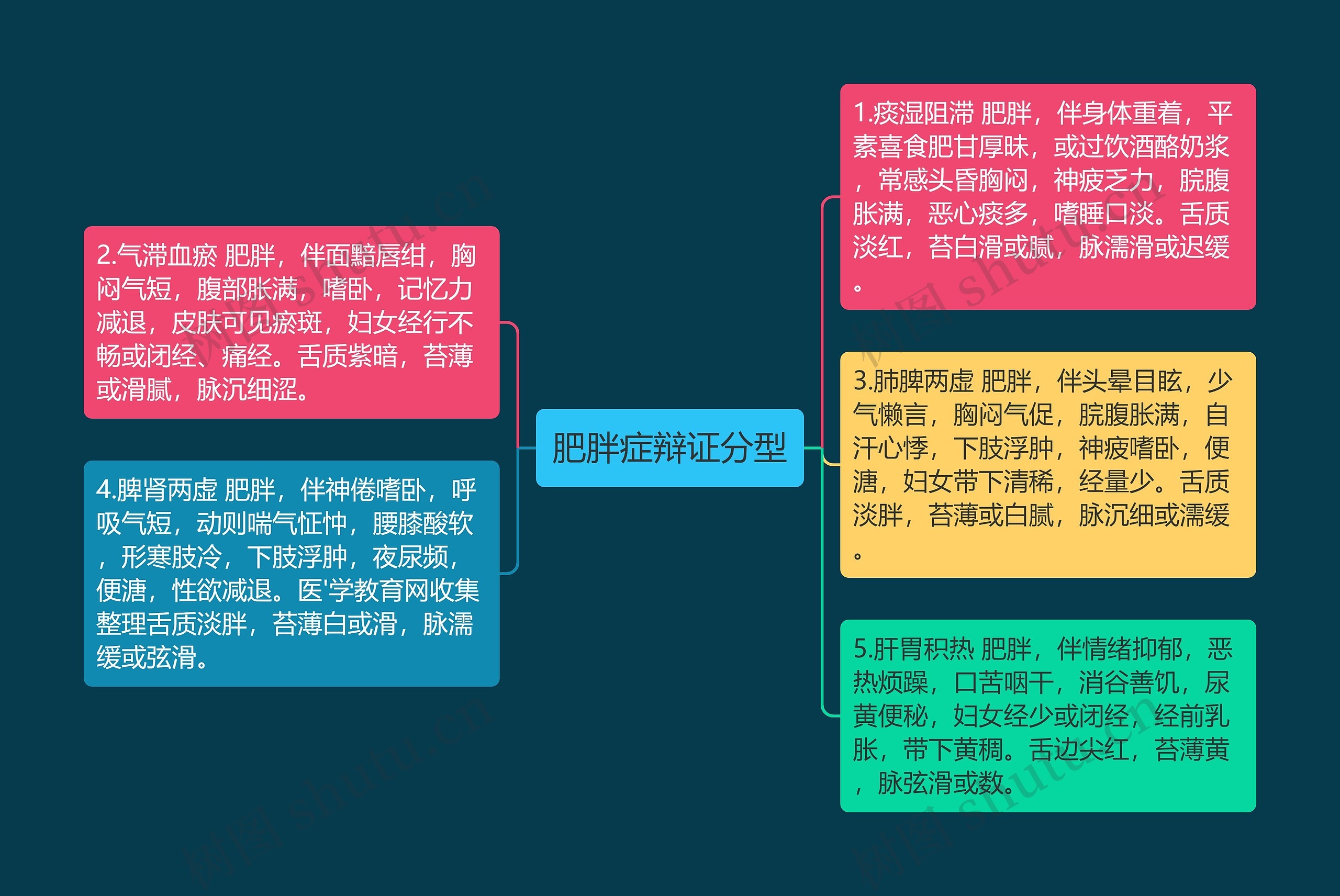 肥胖症辩证分型思维导图