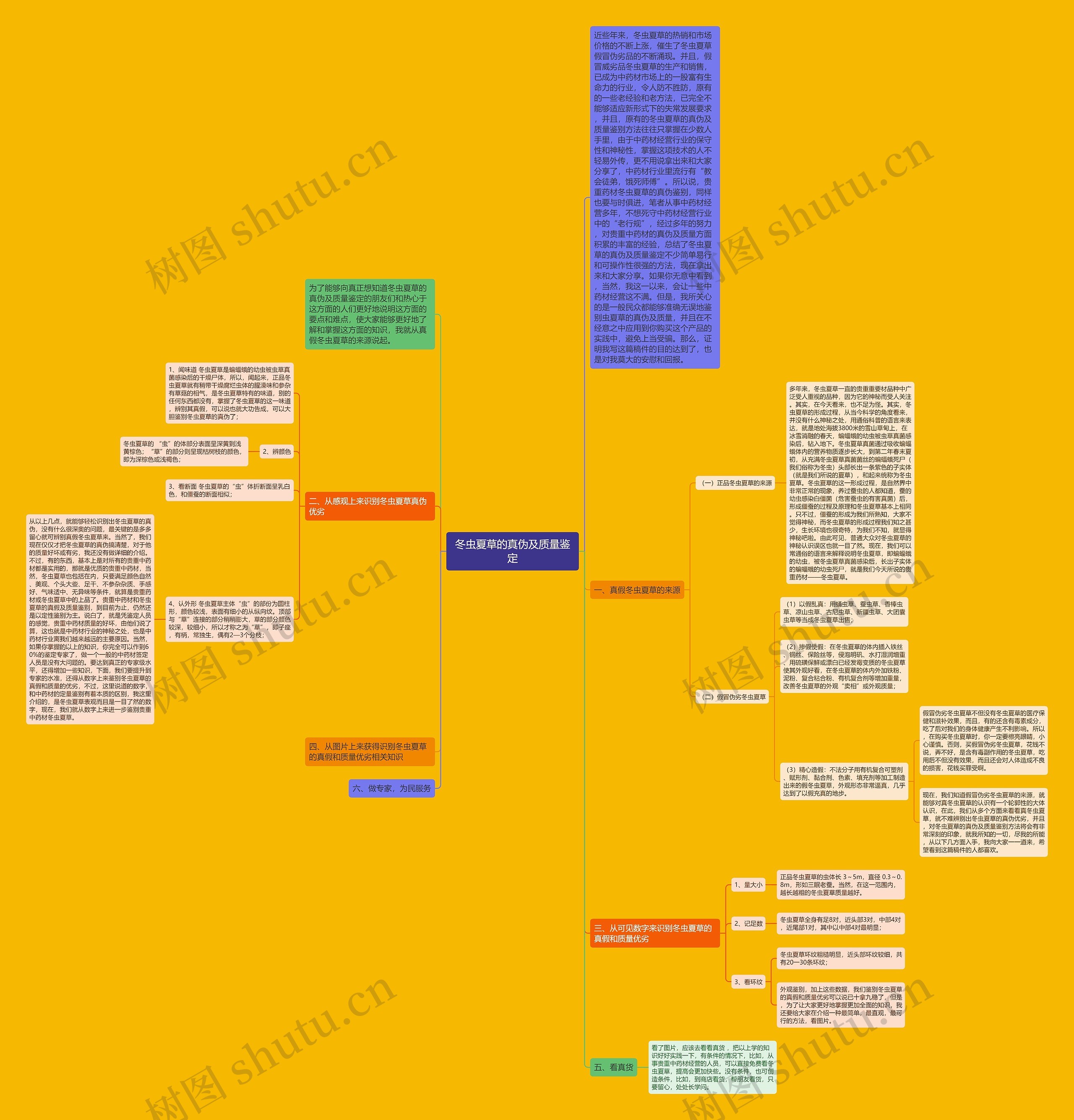 冬虫夏草的真伪及质量鉴定思维导图