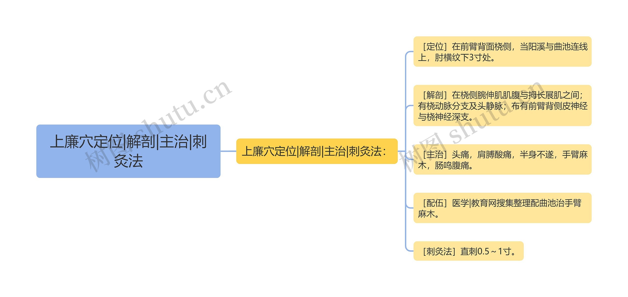 上廉穴定位|解剖|主治|刺灸法思维导图